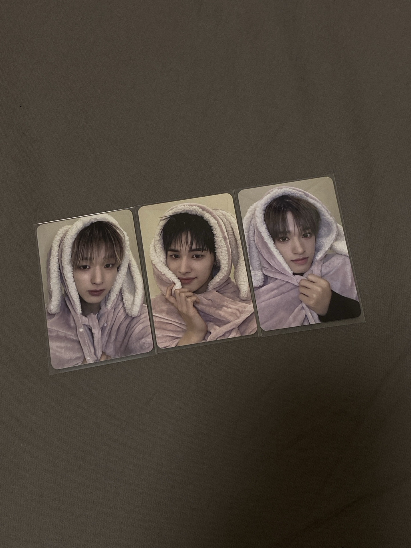 兔毯🐧🐻‍❄️🦌