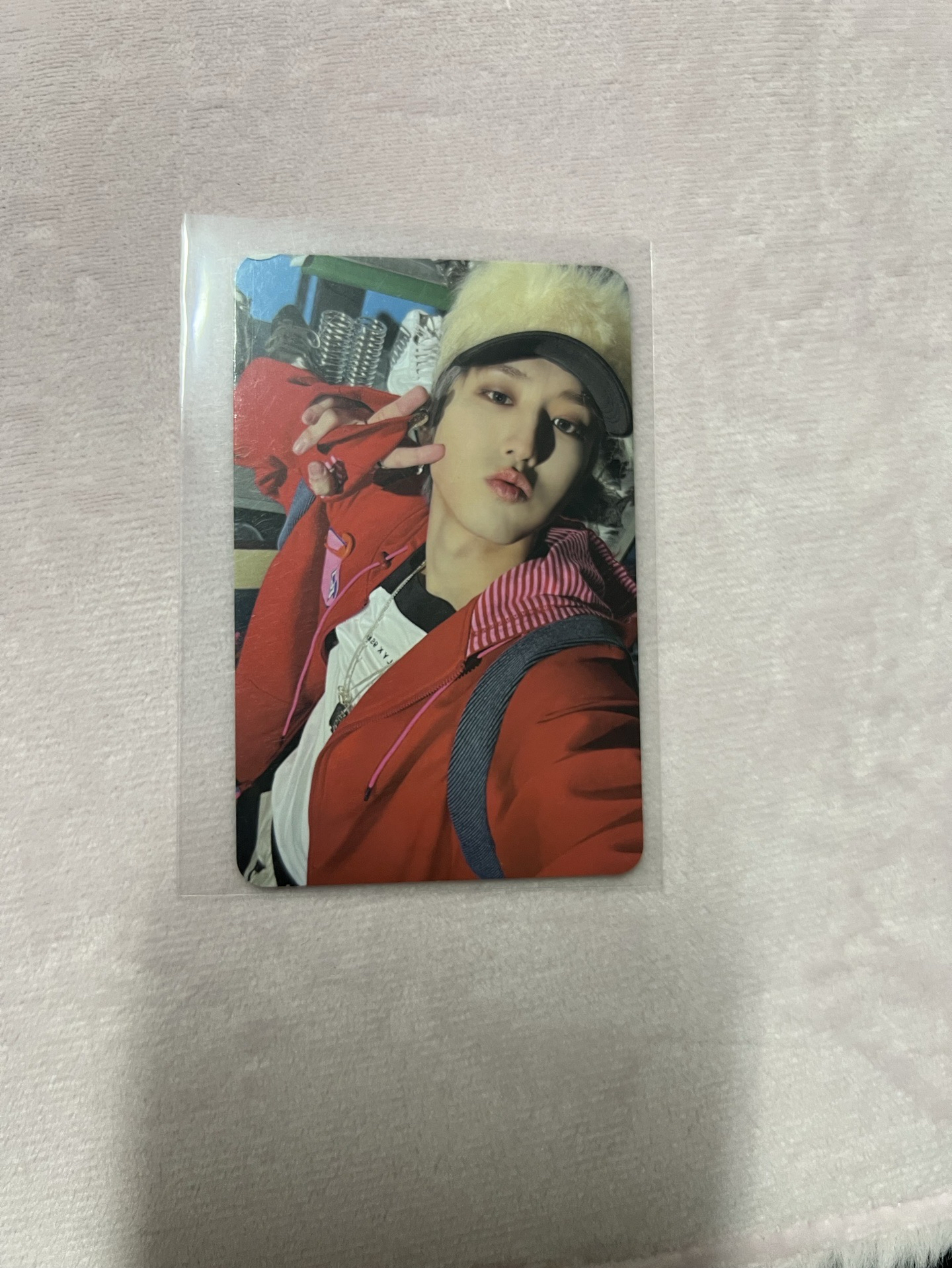 跩跩又可愛的鼠