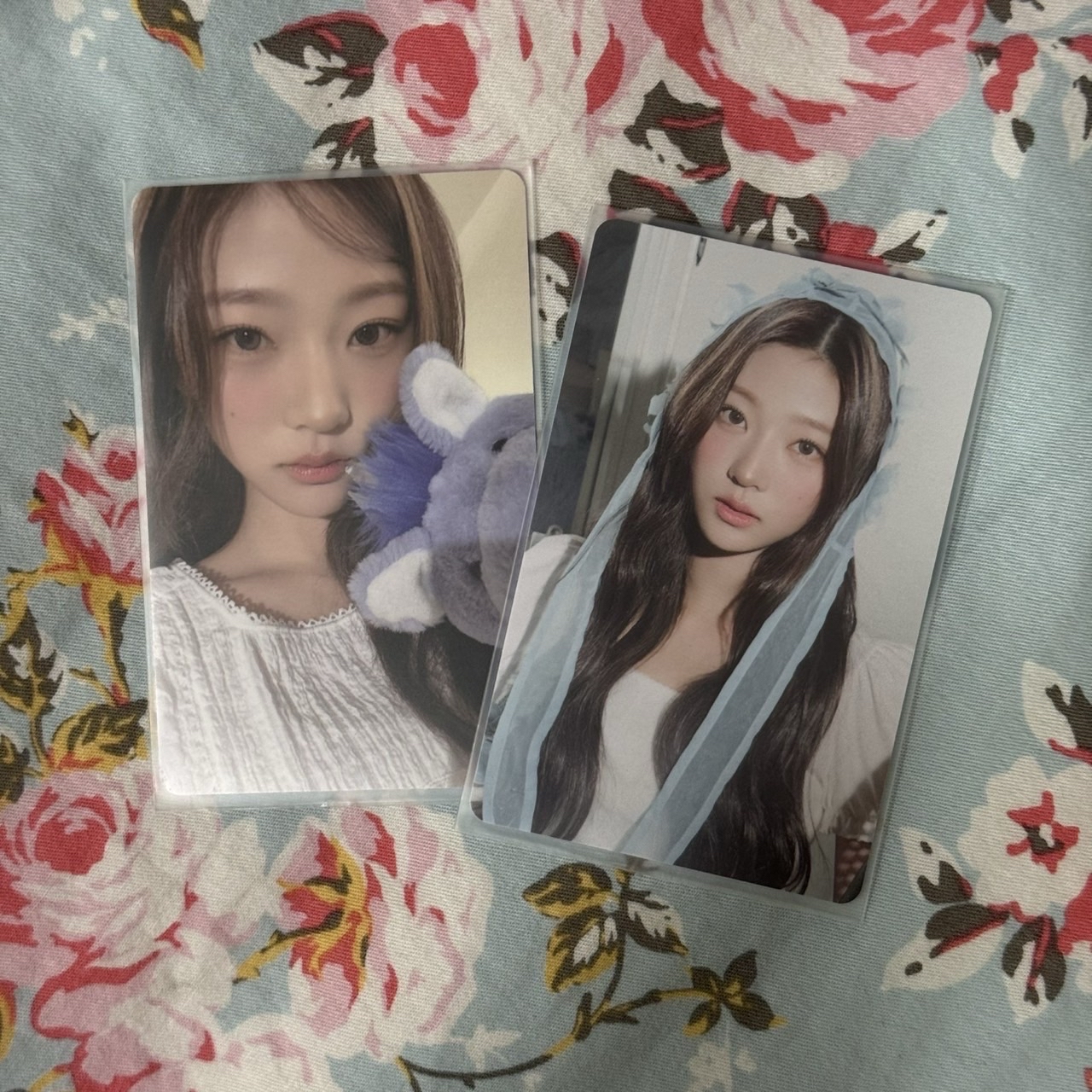 ⭐️年曆卡 stella