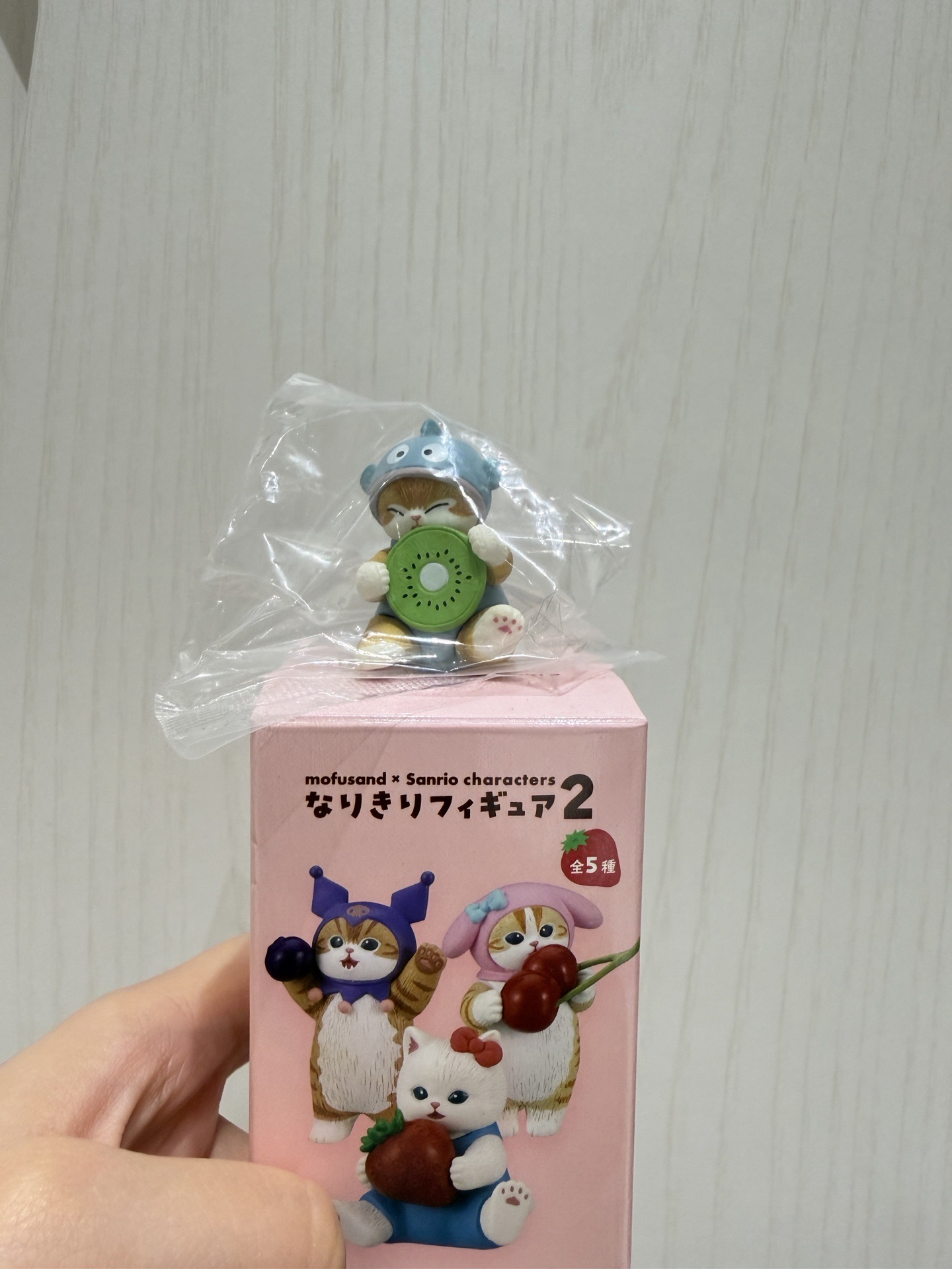 三麗鷗 卡套、別針吊飾、公仔