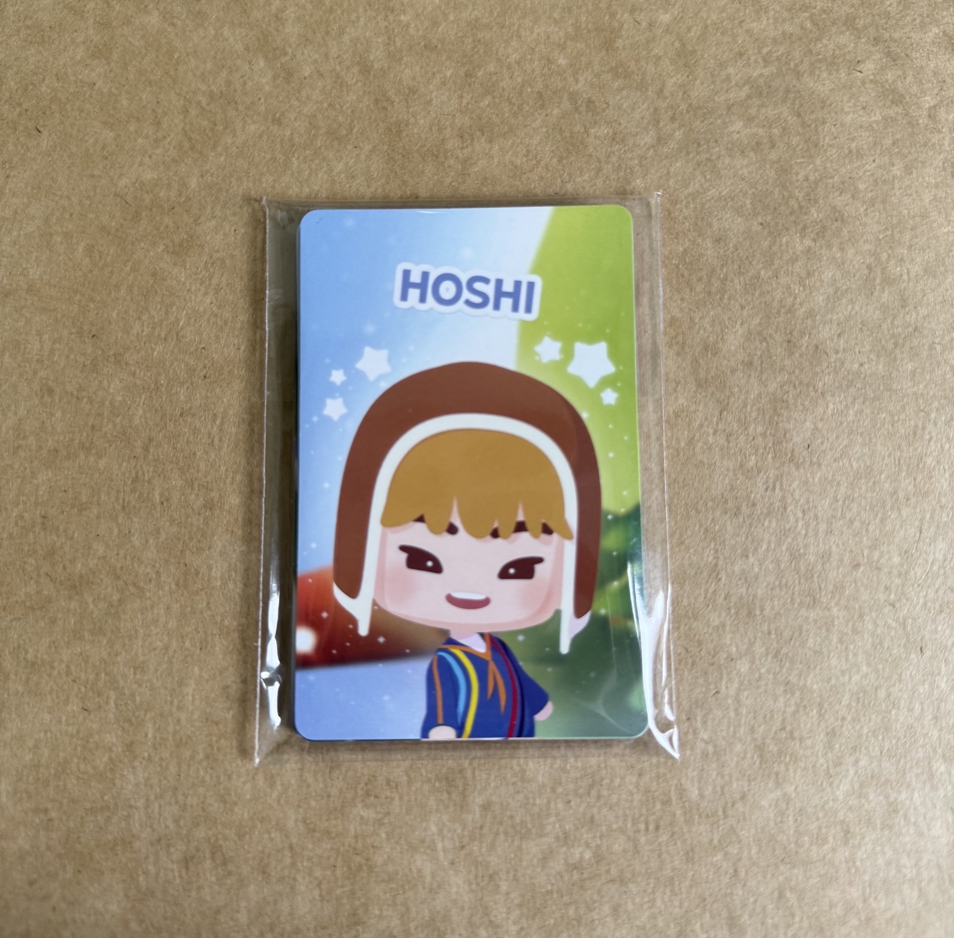 Puzzle SVT 遊戲卡set