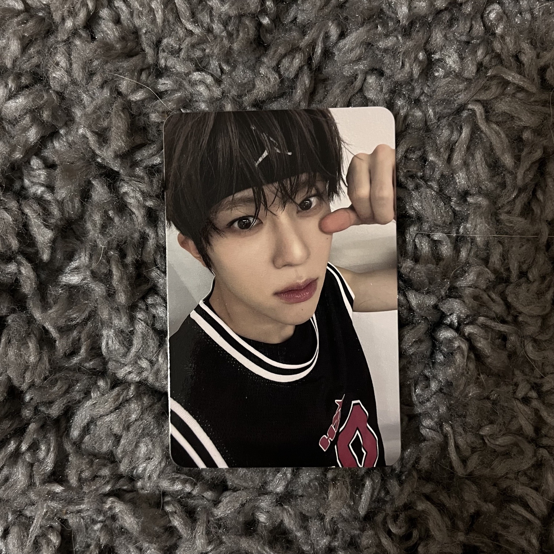 Steady 專輯卡 QR版