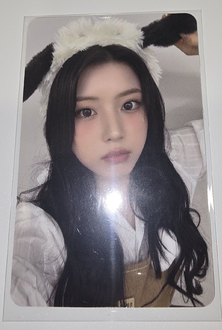 【JIWOO】動物咖啡廳友