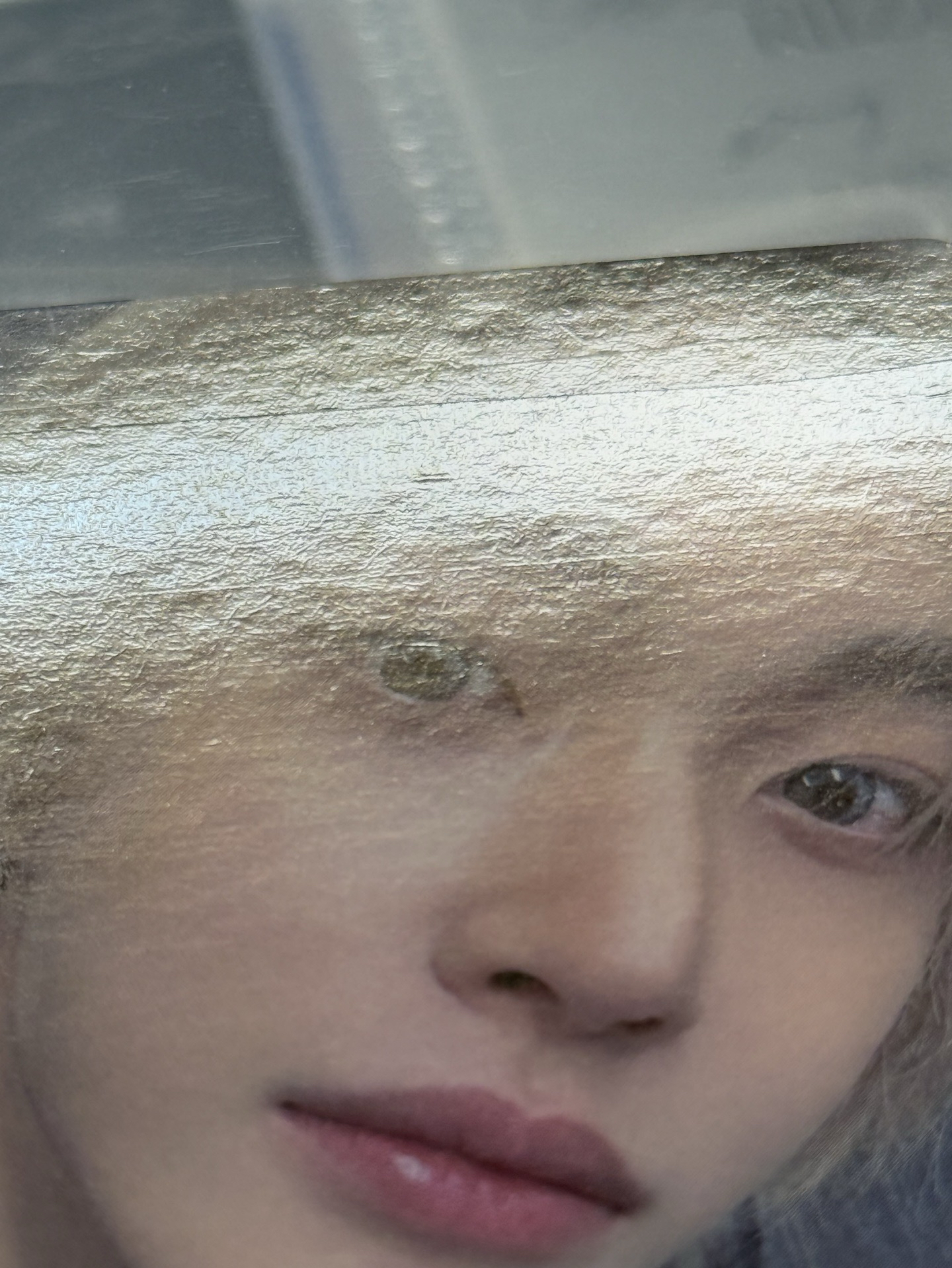 FAME 泡泡摩奇 特典卡B