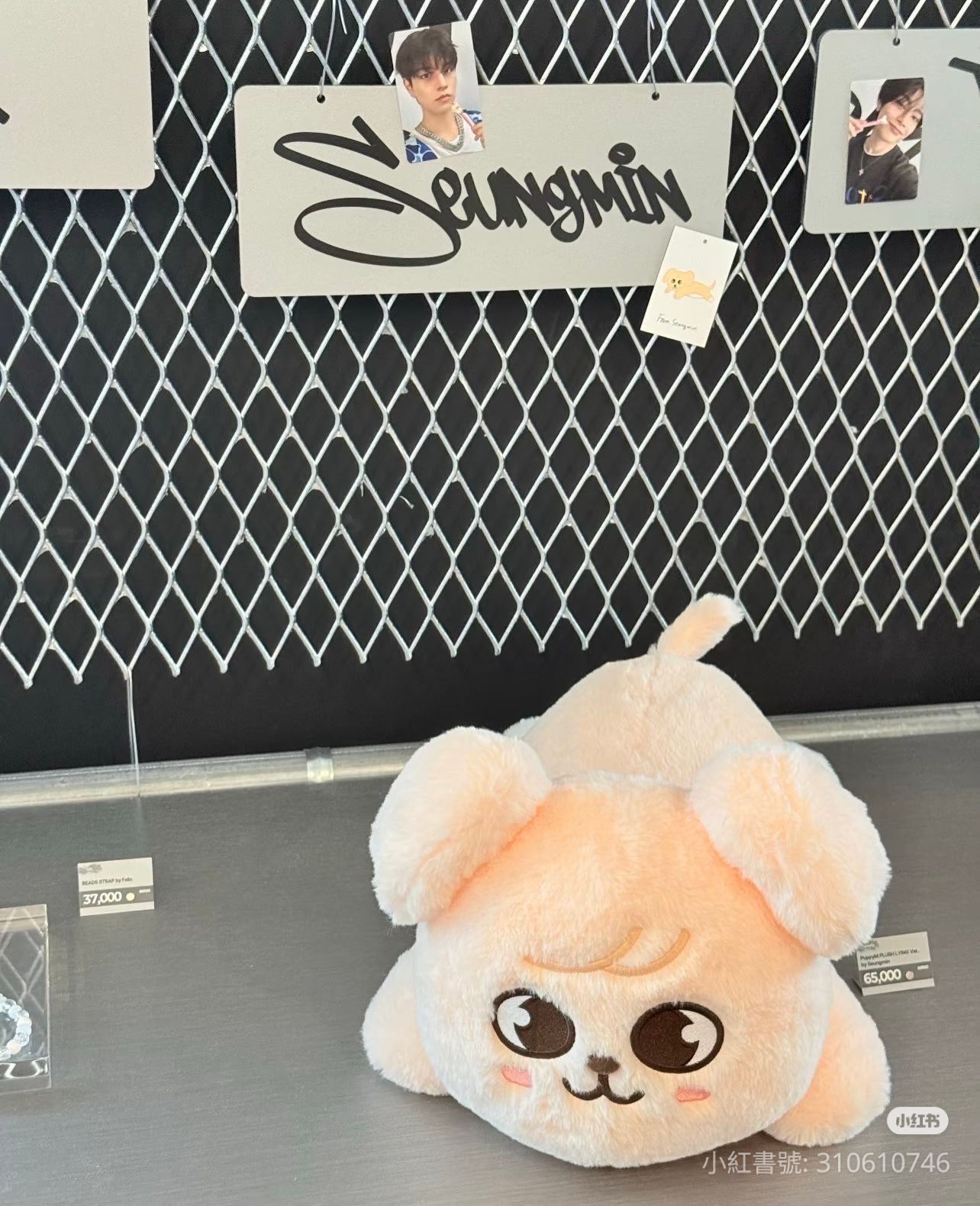 安可場帕皮趴娃