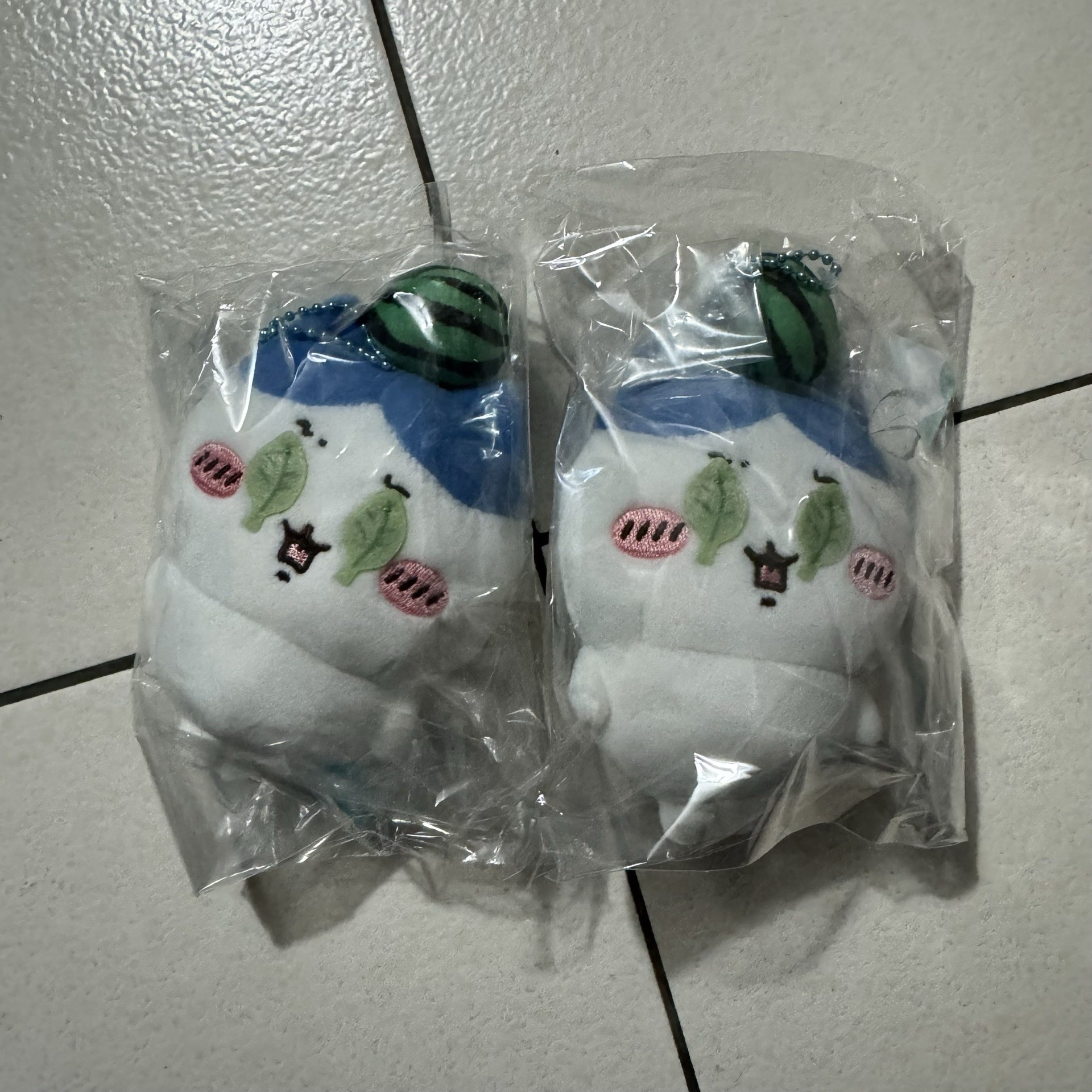 西瓜  吉伊 小八 烏薩奇