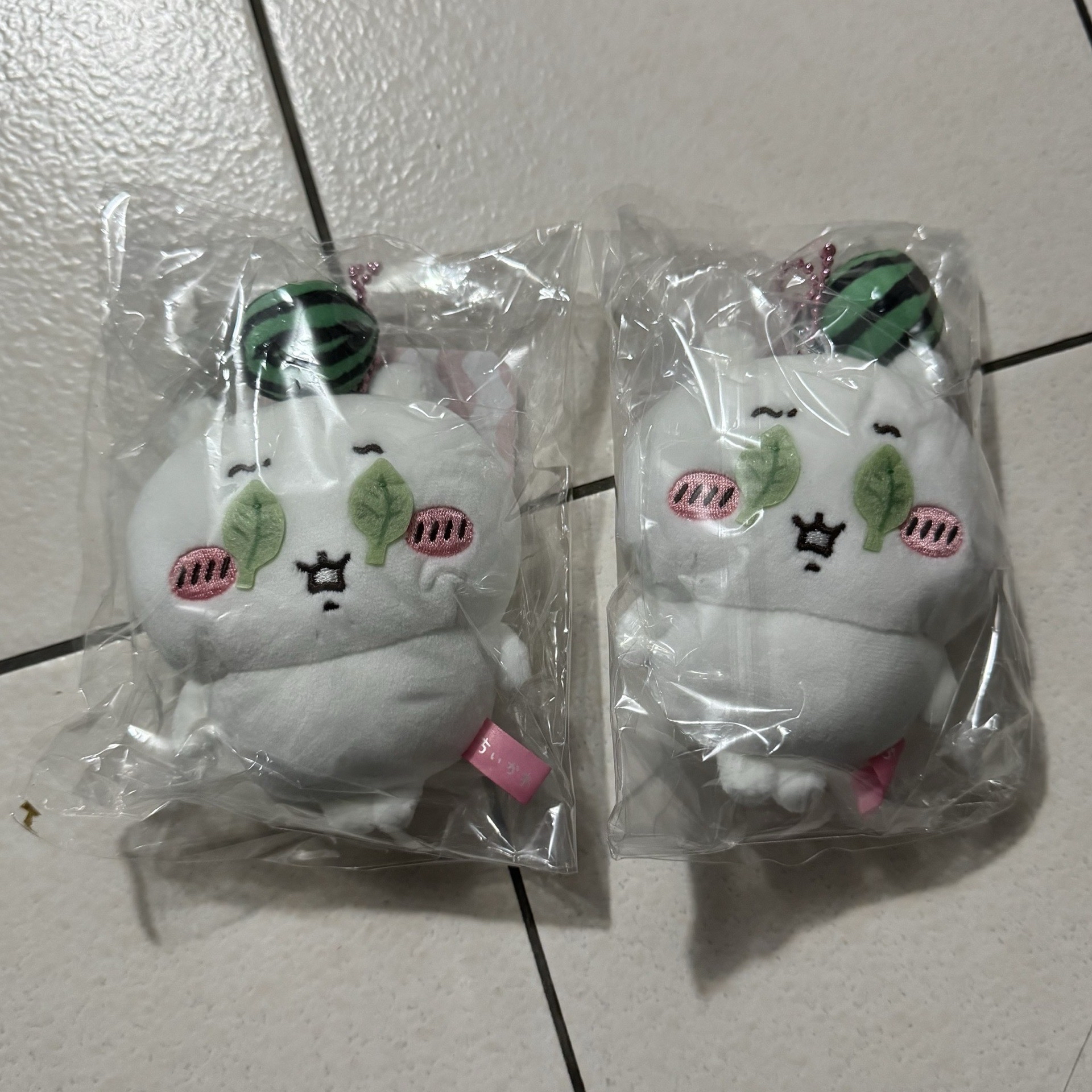 西瓜  吉伊 小八 烏薩奇