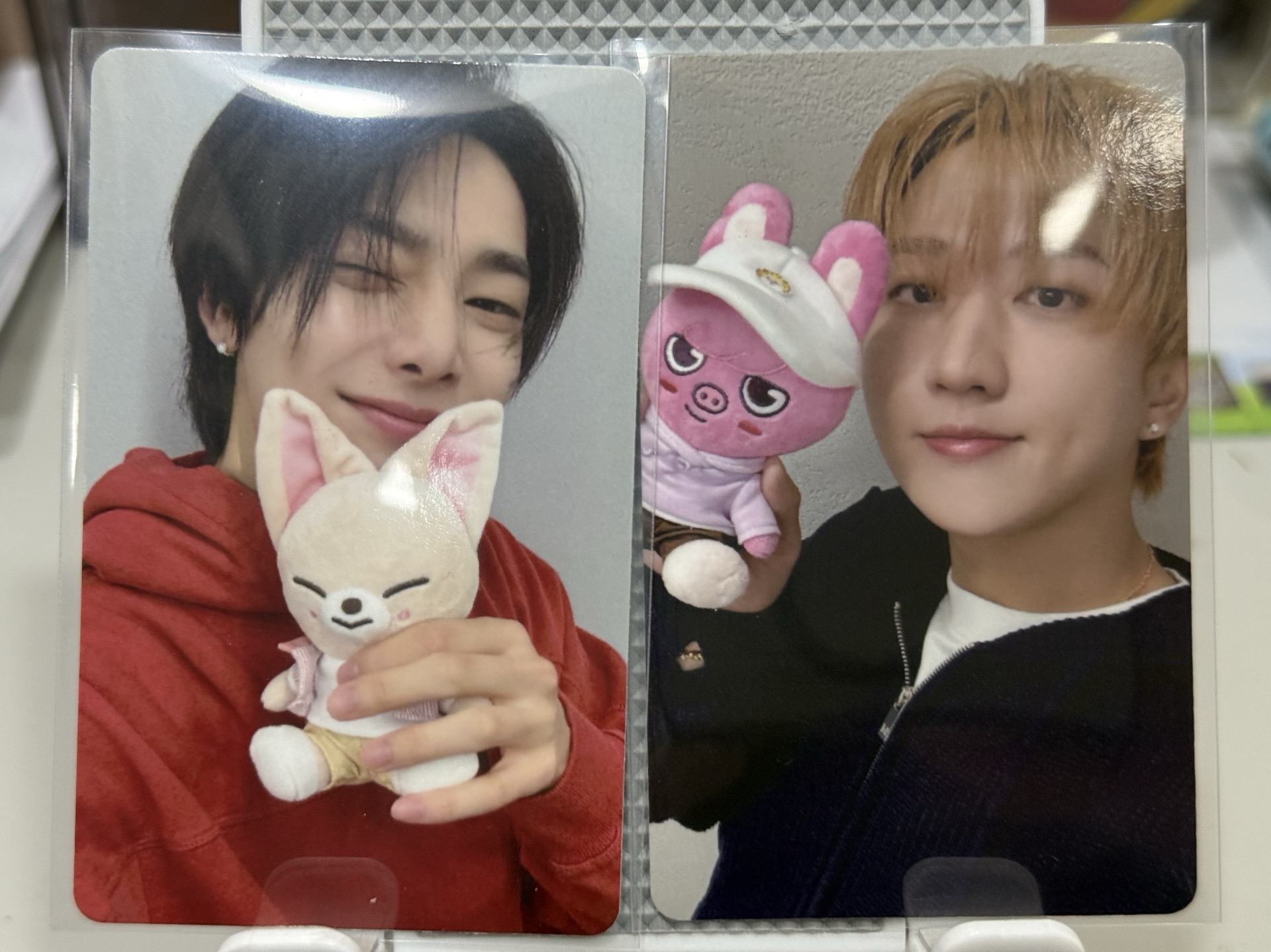 現貨 ZOOTOPIA 2 x SKZOO滿額卡 I.N CHANGBIN