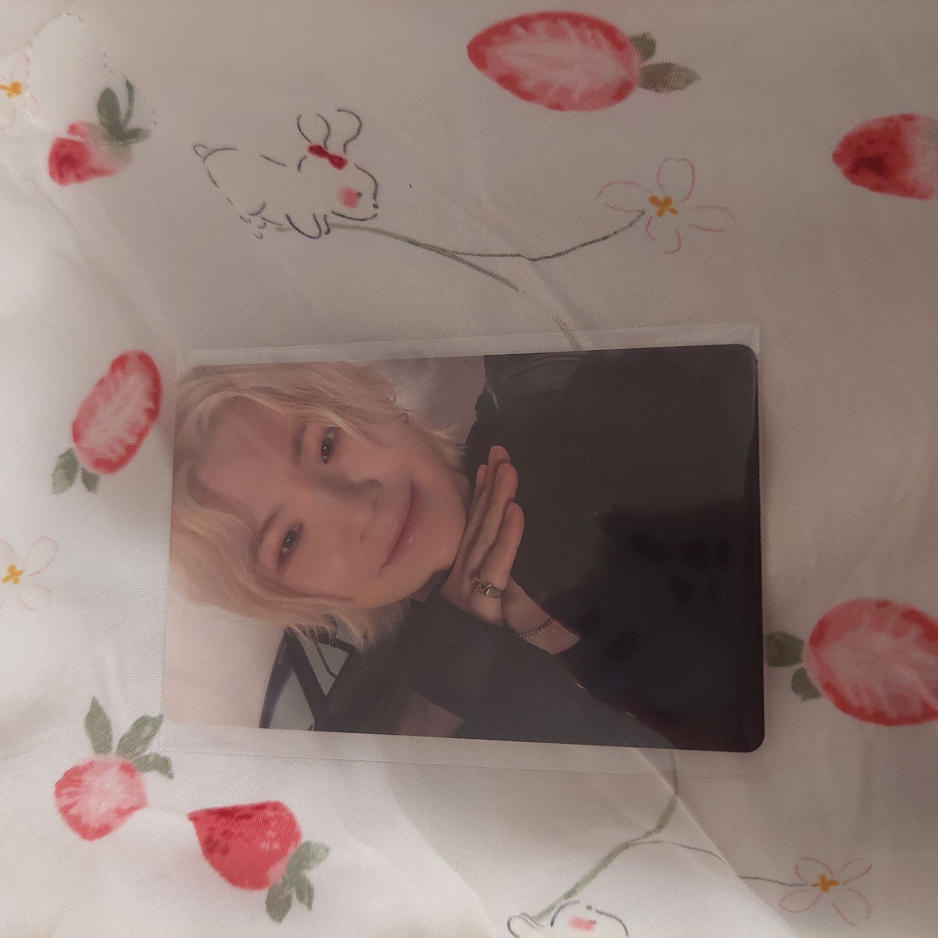 知勳 SEVENTEEN 迷12 WVS 特典卡