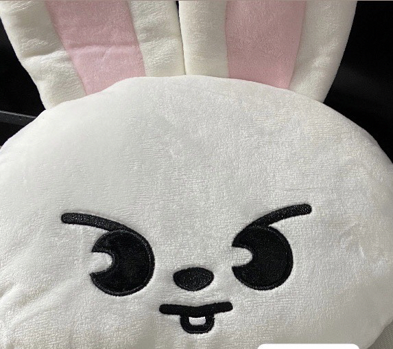 2024 FC Leebit 後背包🌟