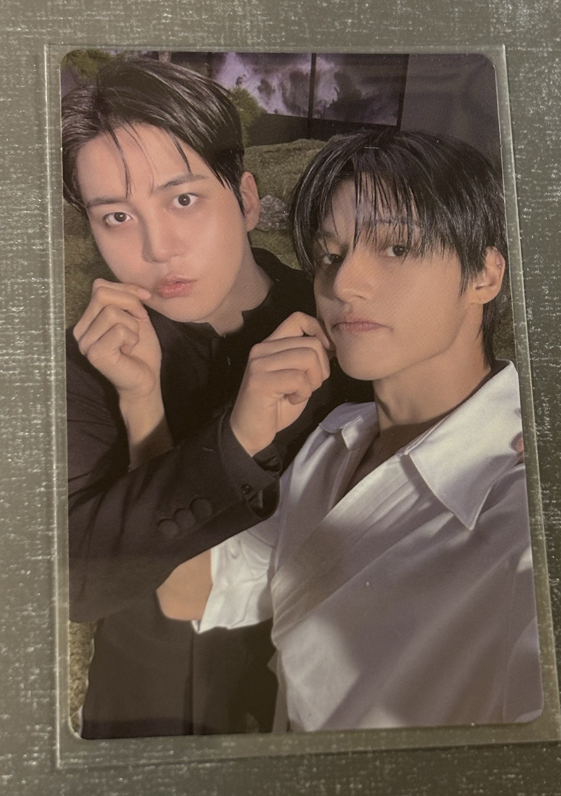 🐈‍⬛🐻 雙人卡