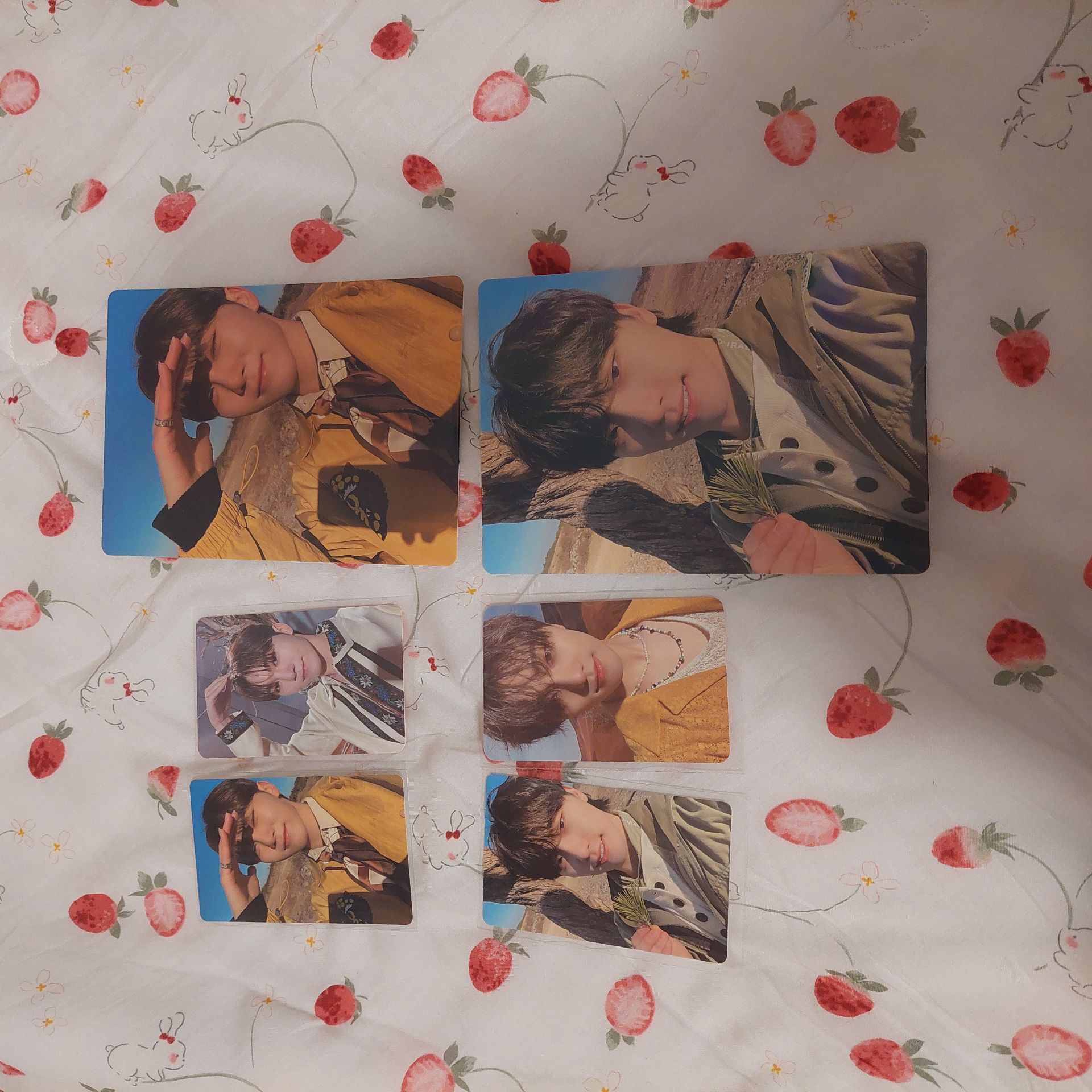 SEVENTEEN 正4 FACE THE SUN wvs 特典卡 勝哲 淨漢 知秀 順榮 知勳 碩珉 珉奎 勝寛 燦