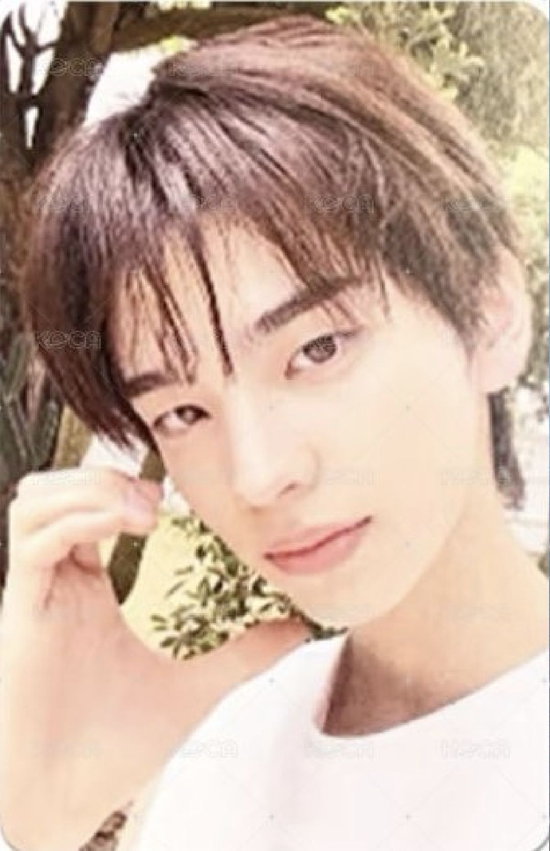 SUMMER BEAT! 專輯卡 NOW ver.