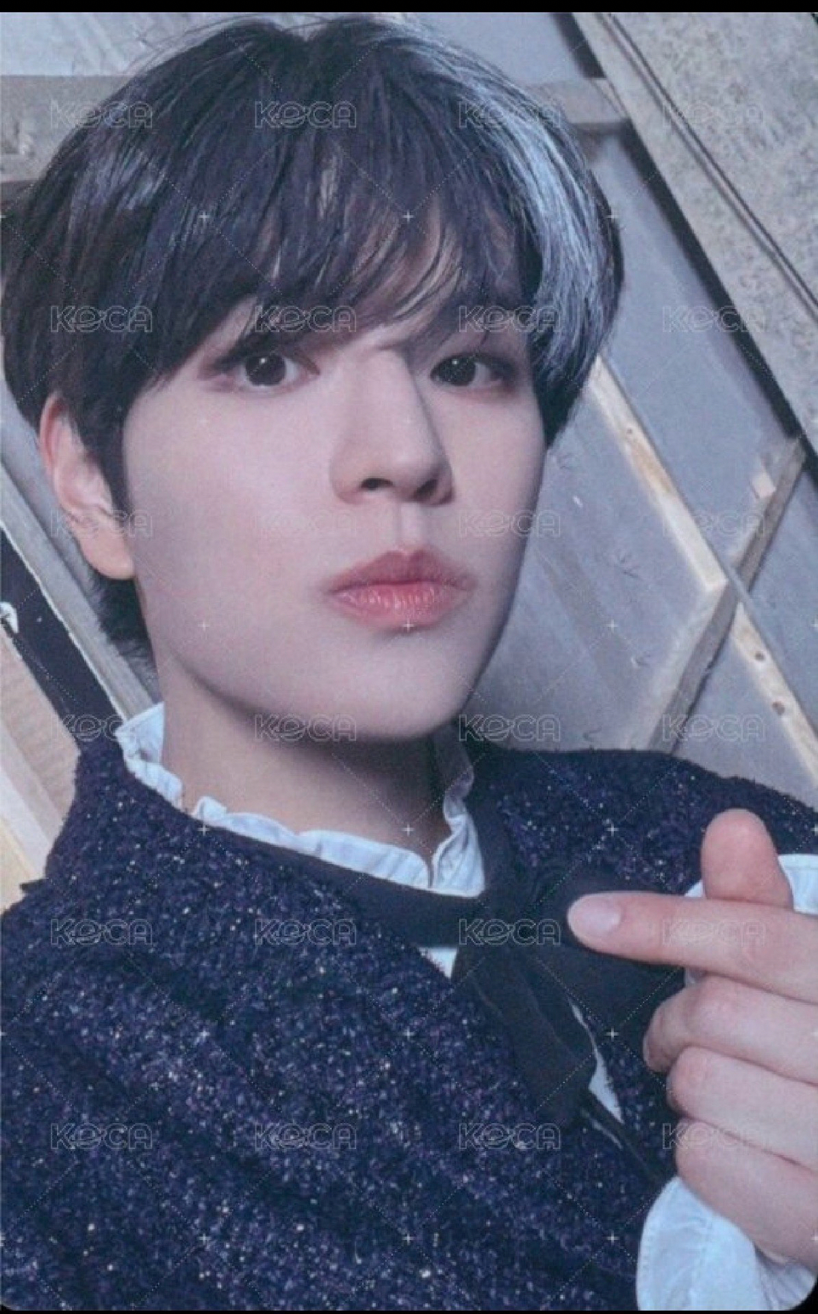 日本展覽 滿額卡 玟