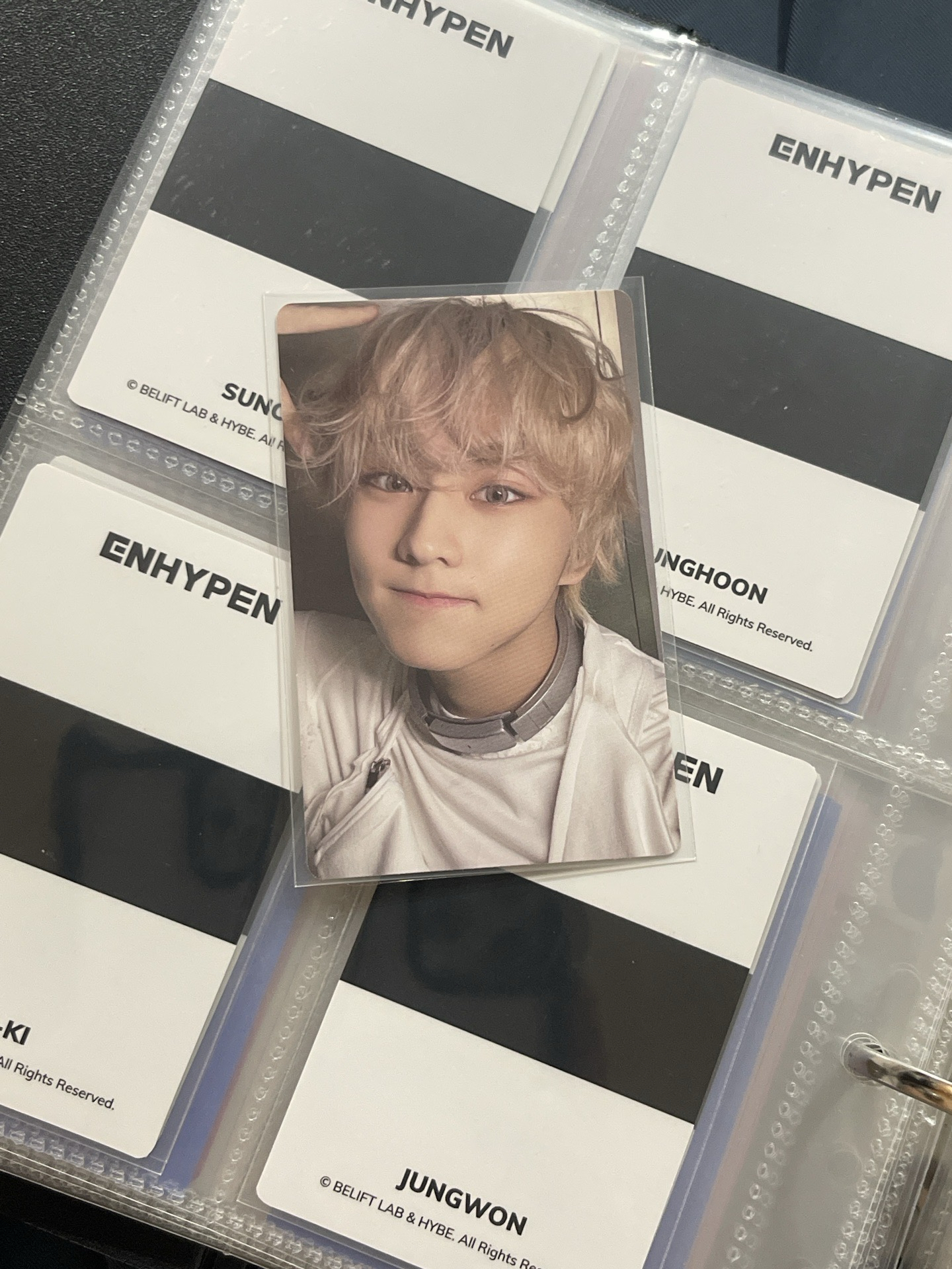 巨萌小貓元 迷6 隨機專卡