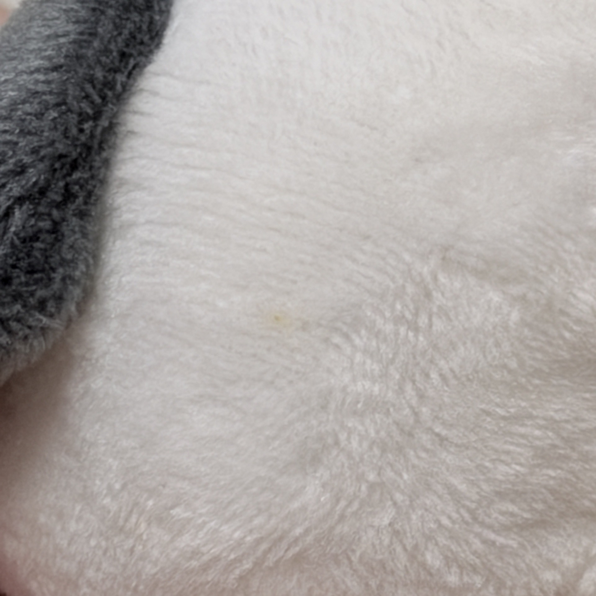 Sanrio｜帕恰狗 磁吸吊飾