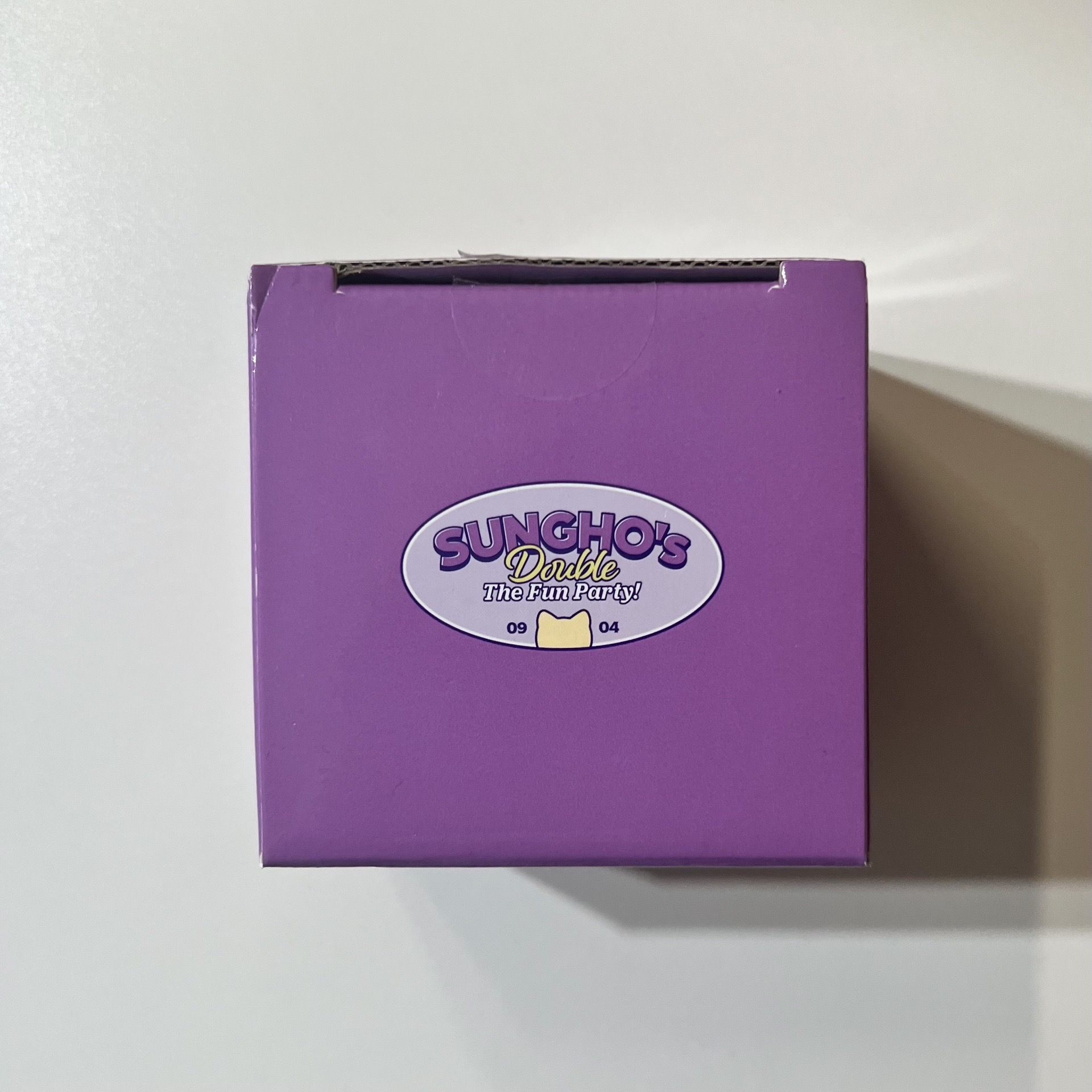 🐈成淏 25年生日禮 單蠟燭