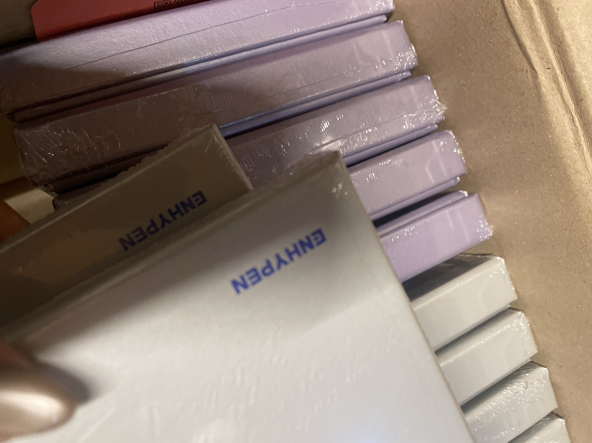 ENHYPEN 白日夢 正二後續🧱 未拆