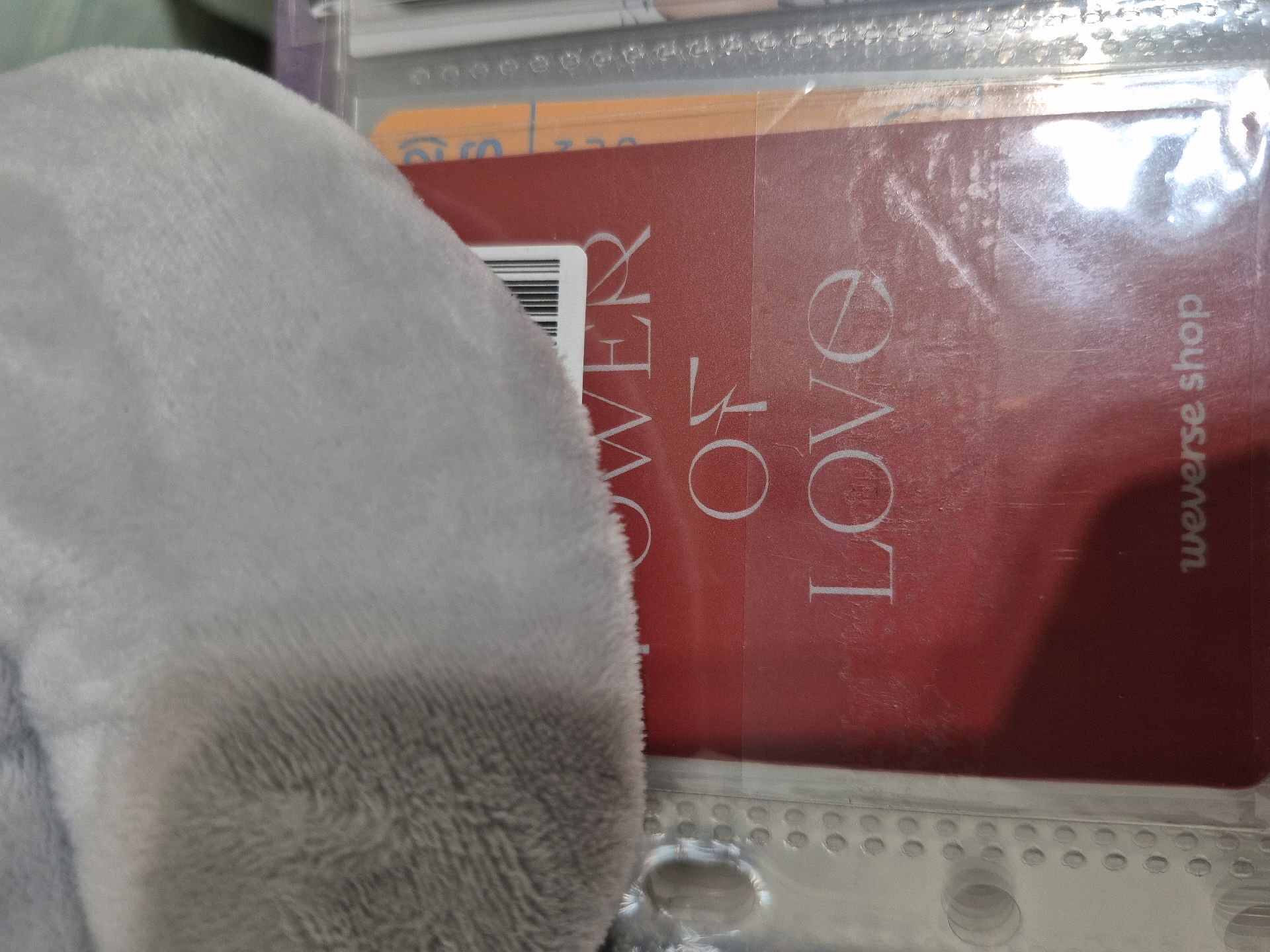 🩷哲 POL WVS特典卡