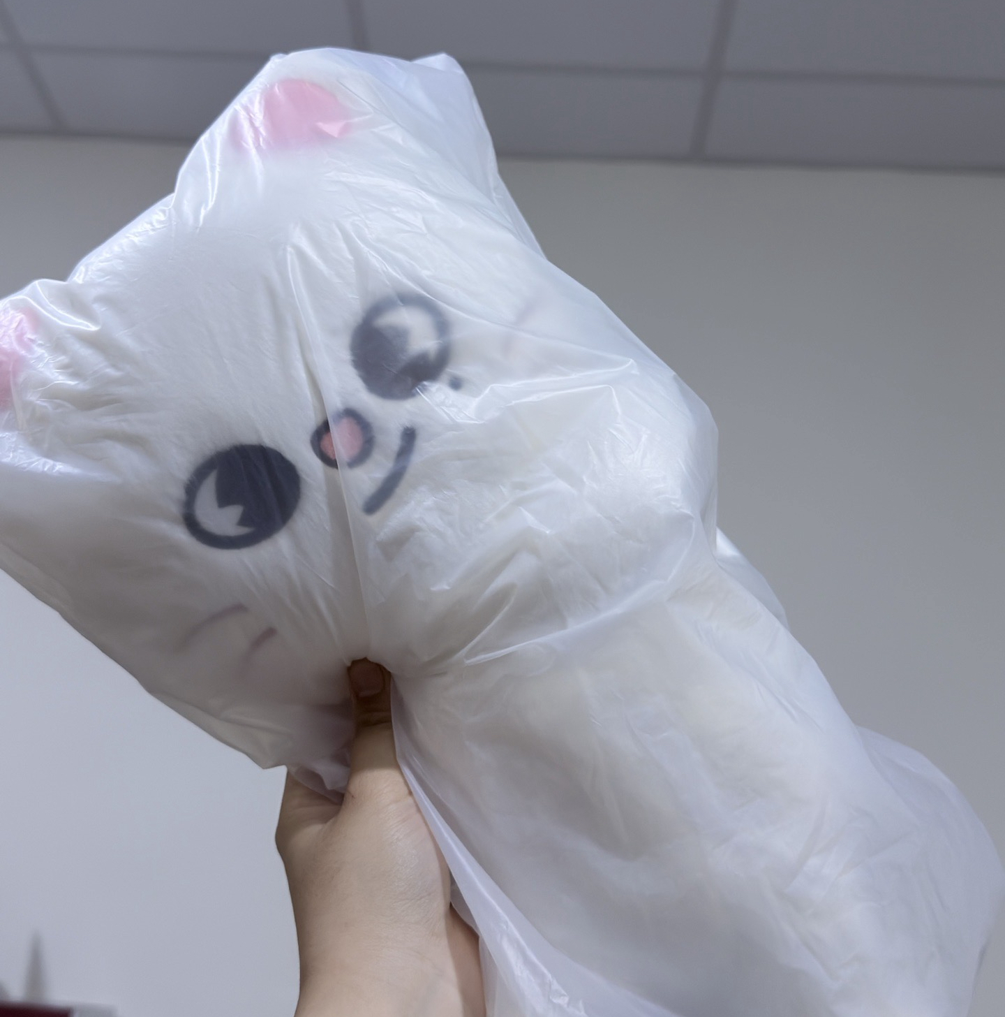 韓安周邊—辰 側背娃