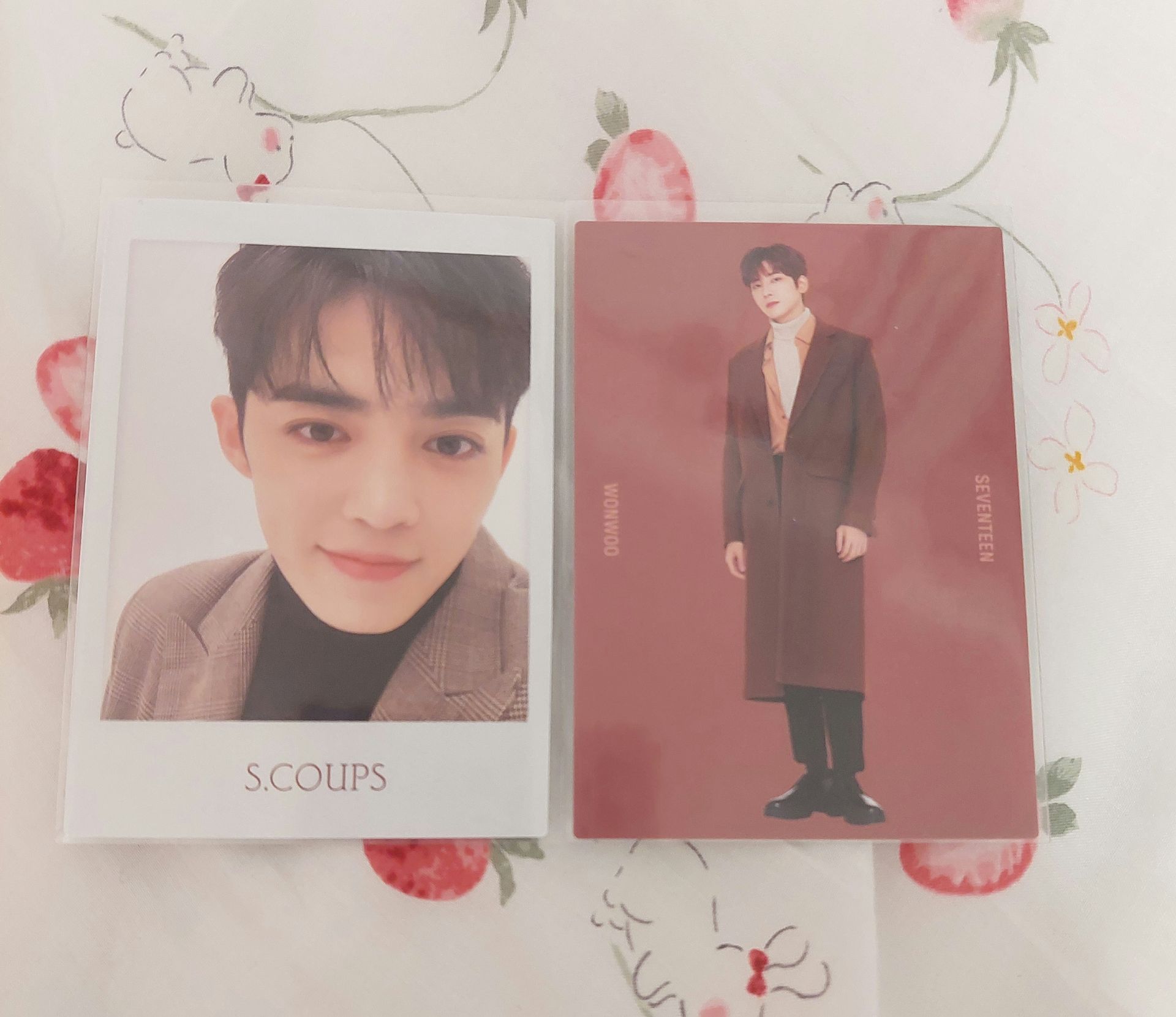 SEVENTEEN 冬季卡包 日卡 日本 卡包小卡 勝哲 淨漢 圓佑