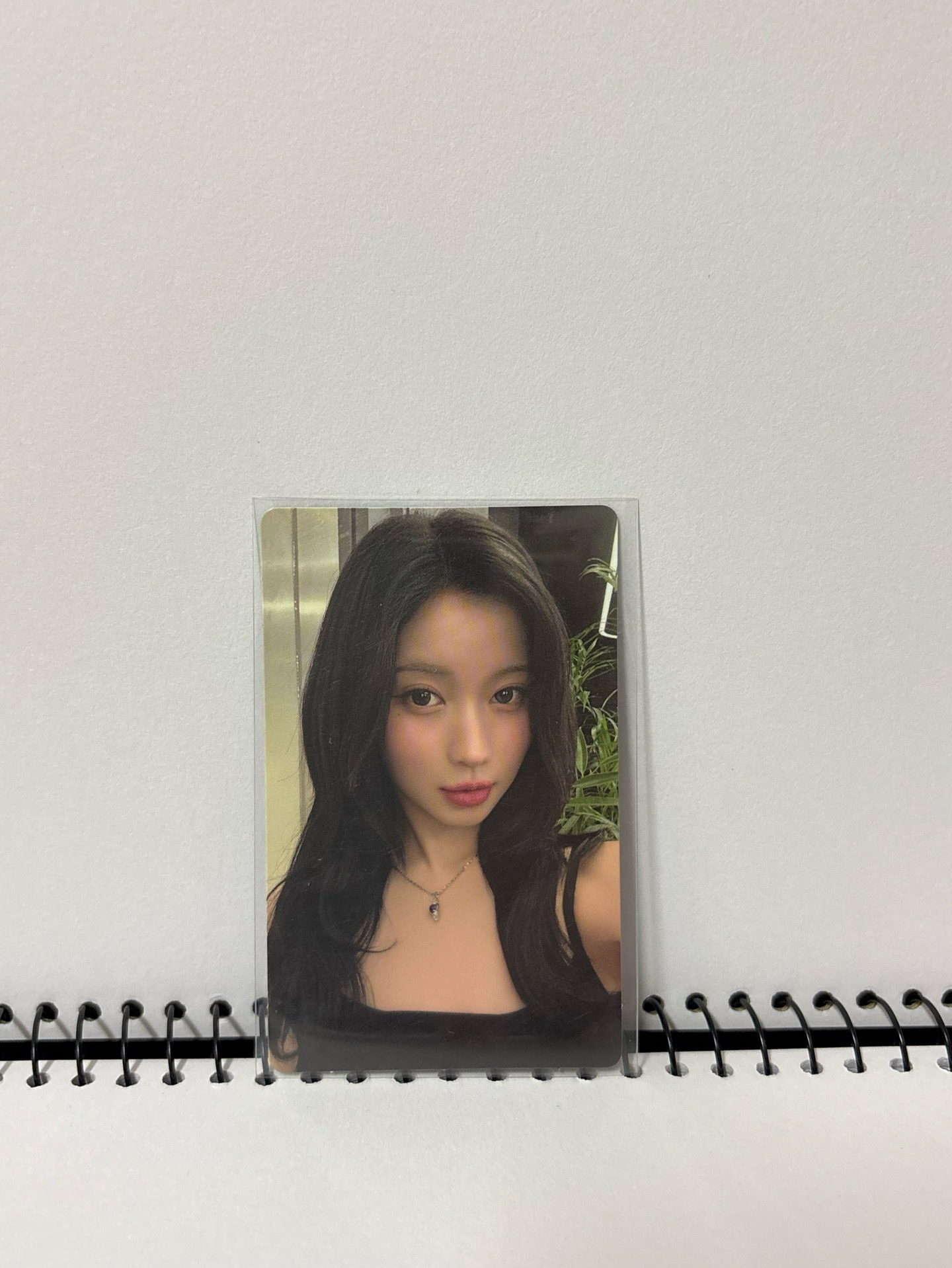 一些寶怪asa的小卡