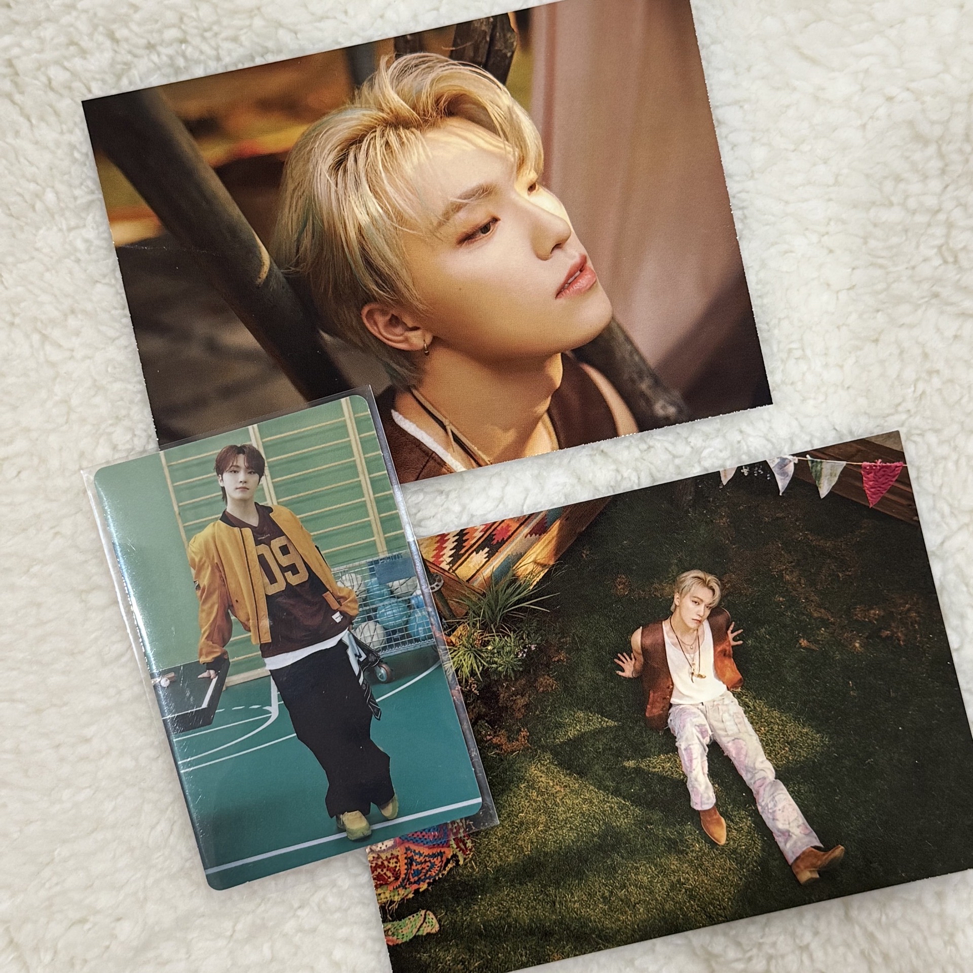 DINO｜2025 CARAT LAND 