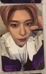 songbird smini專卡