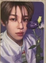 songbird日專專卡