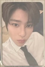 steady  mumo特典卡