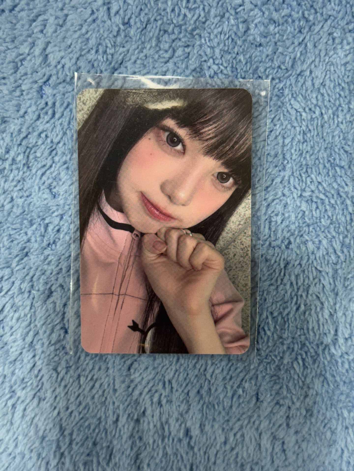 h2h ian可愛粉紅貓安