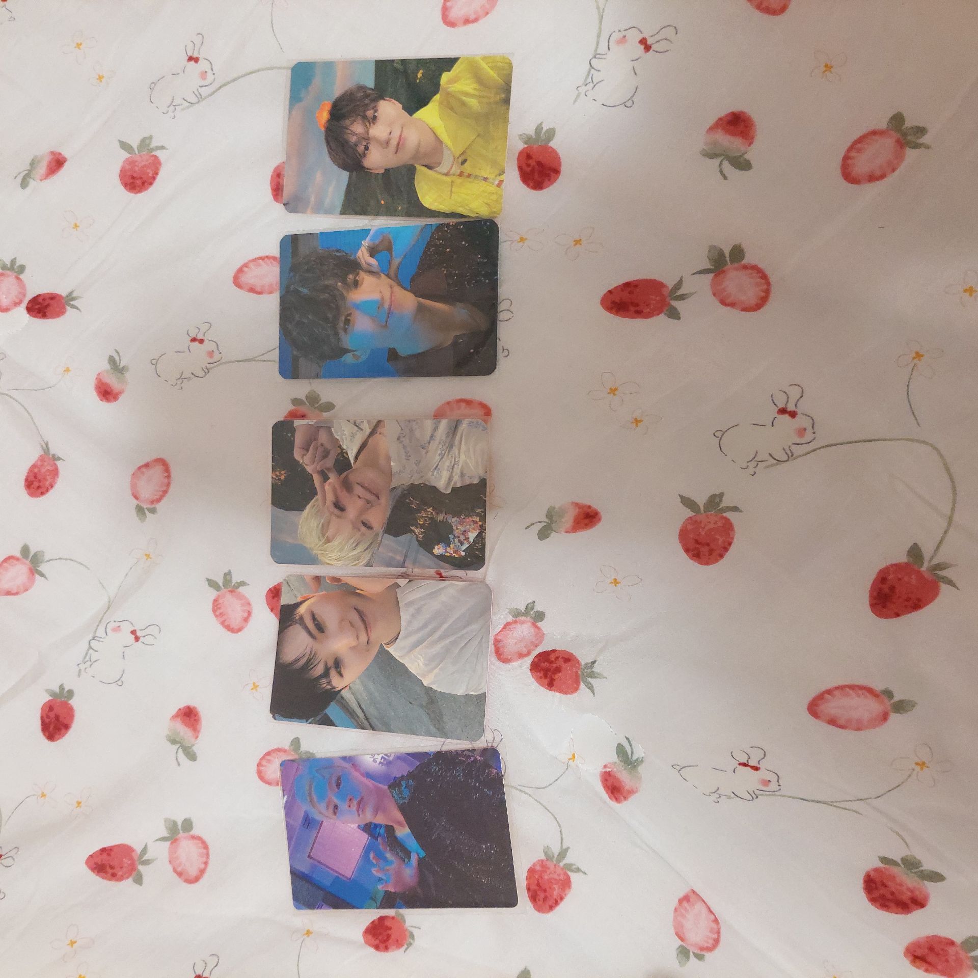 SEVENTEEN 後續專 SECTOR 17 LD 特典卡 順榮 知勳 碩珉 勝寛