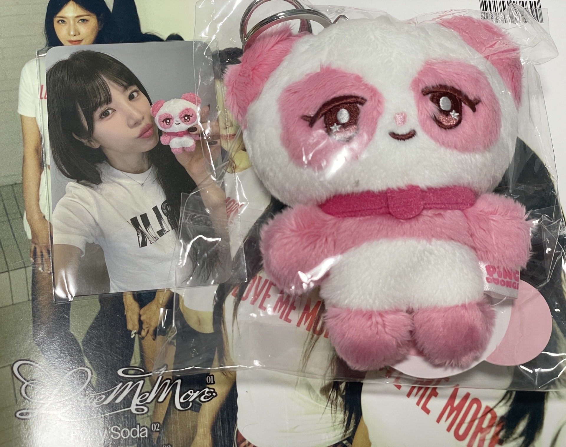 恩地娃 初瓏娃 小手燈 演唱會入場卡 迷11專輯 特典 