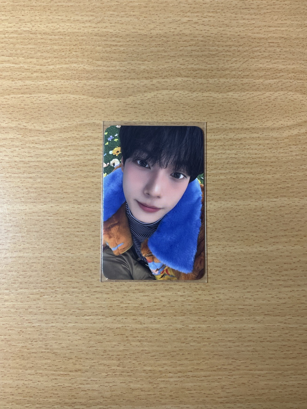 崔立于 音中打歌卡