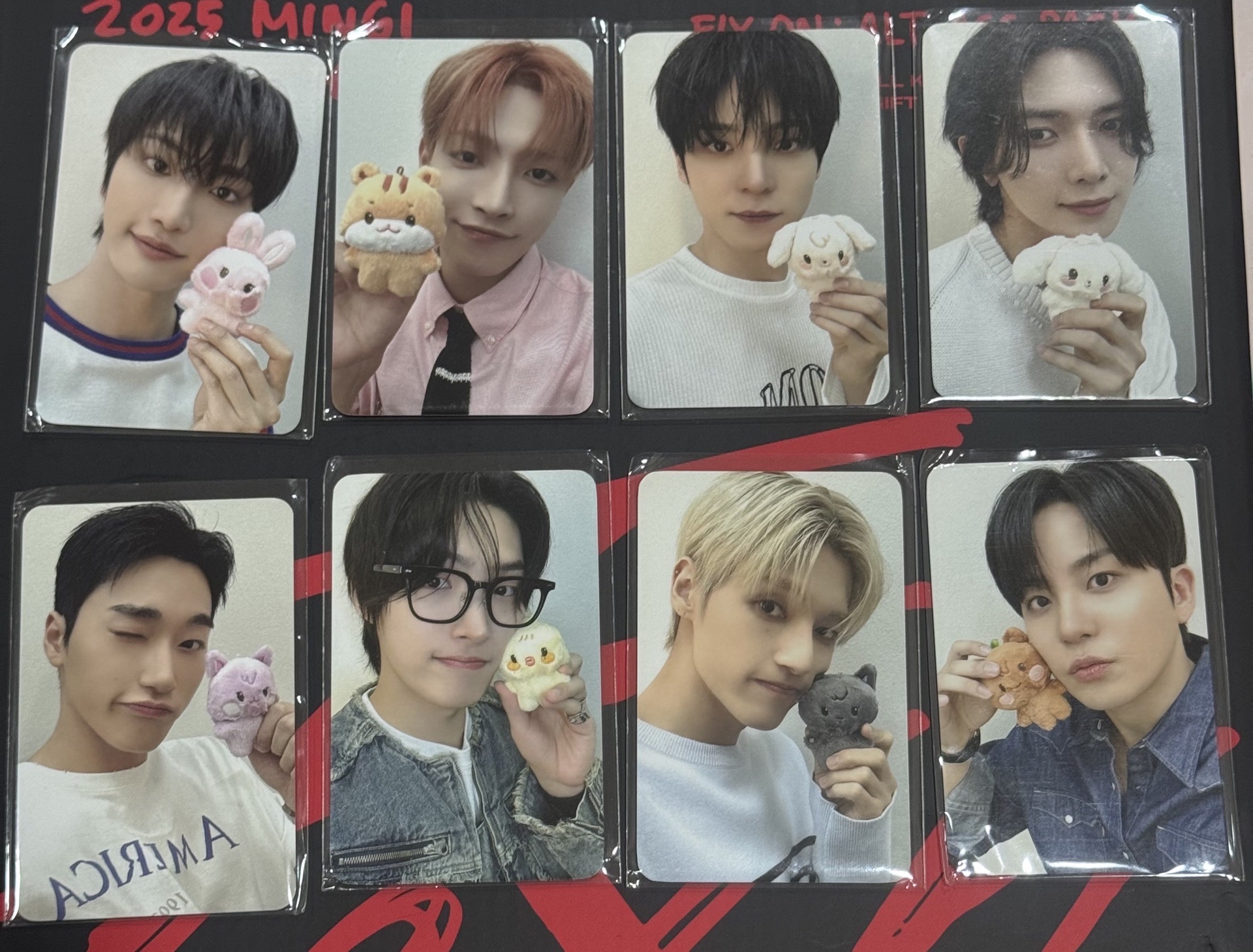 寶寶娃小卡（整套）