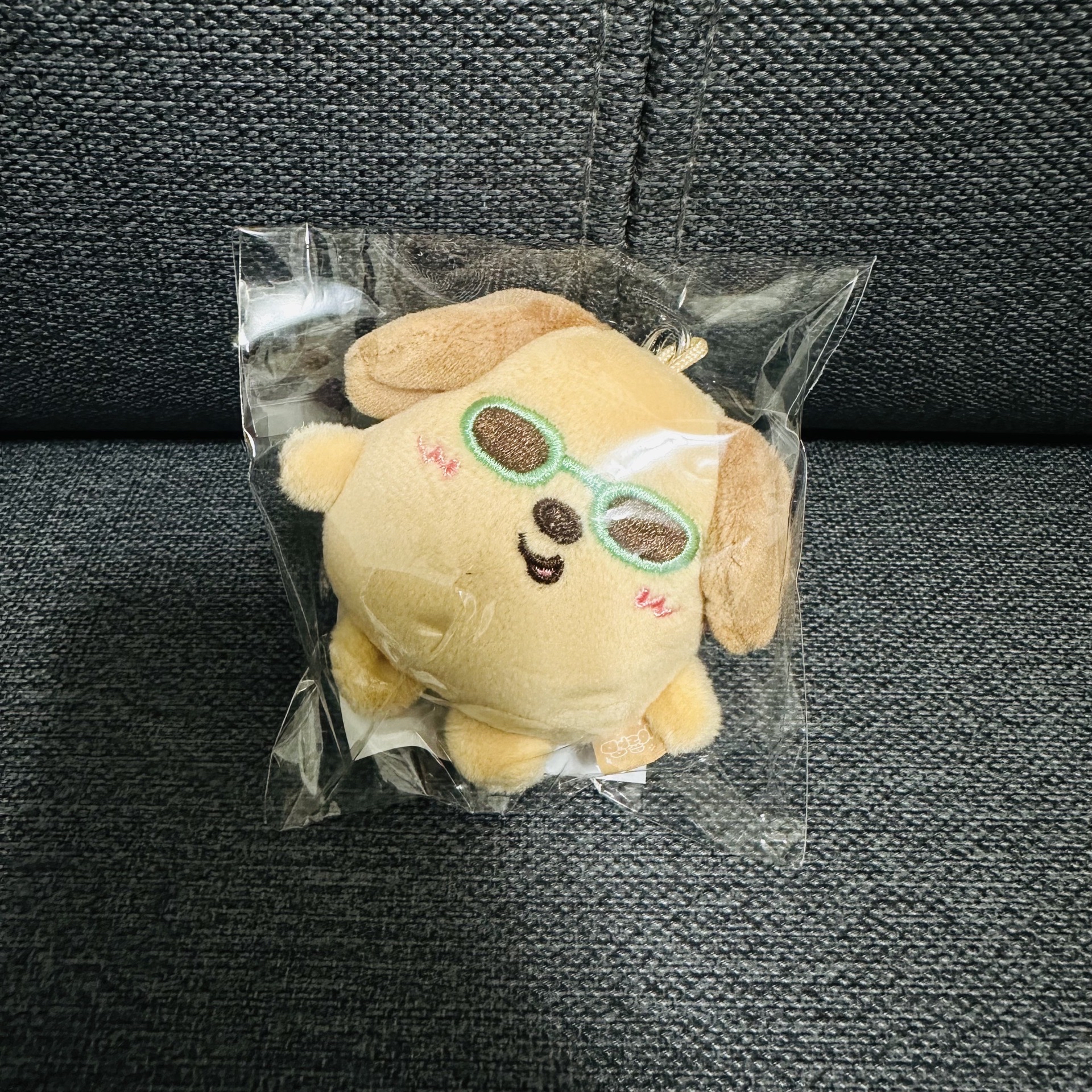 Anton 曬黑墨鏡狗龍🕶️🦕