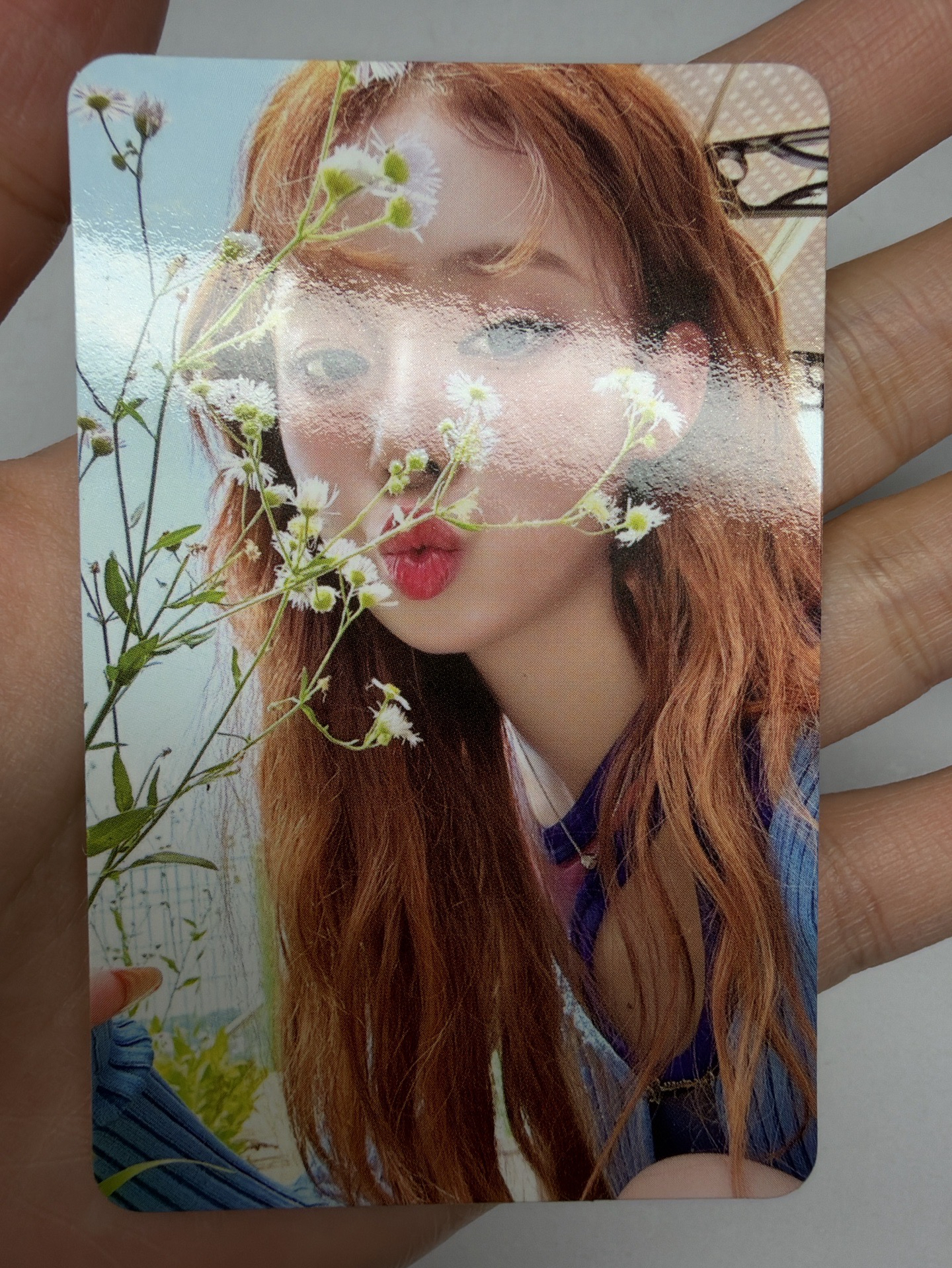 Better Things 隨機卡 B冬 一組 捲毛冬 聞花冬