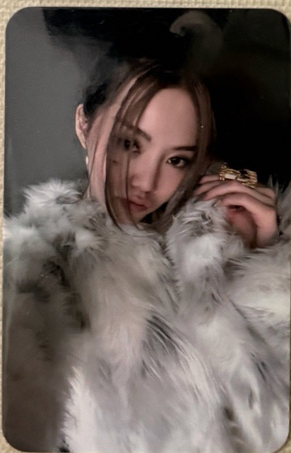 Bailey貝莉Mwave特典