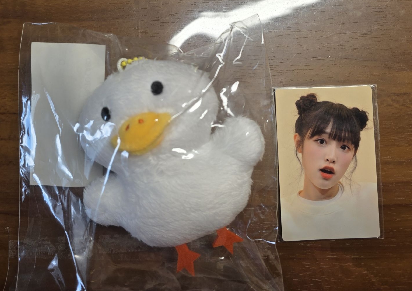 動物娃娃 含小卡