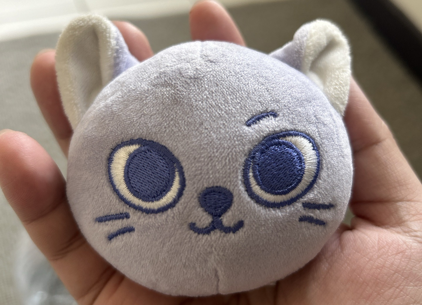 No Genre 快閃店 CATBBI