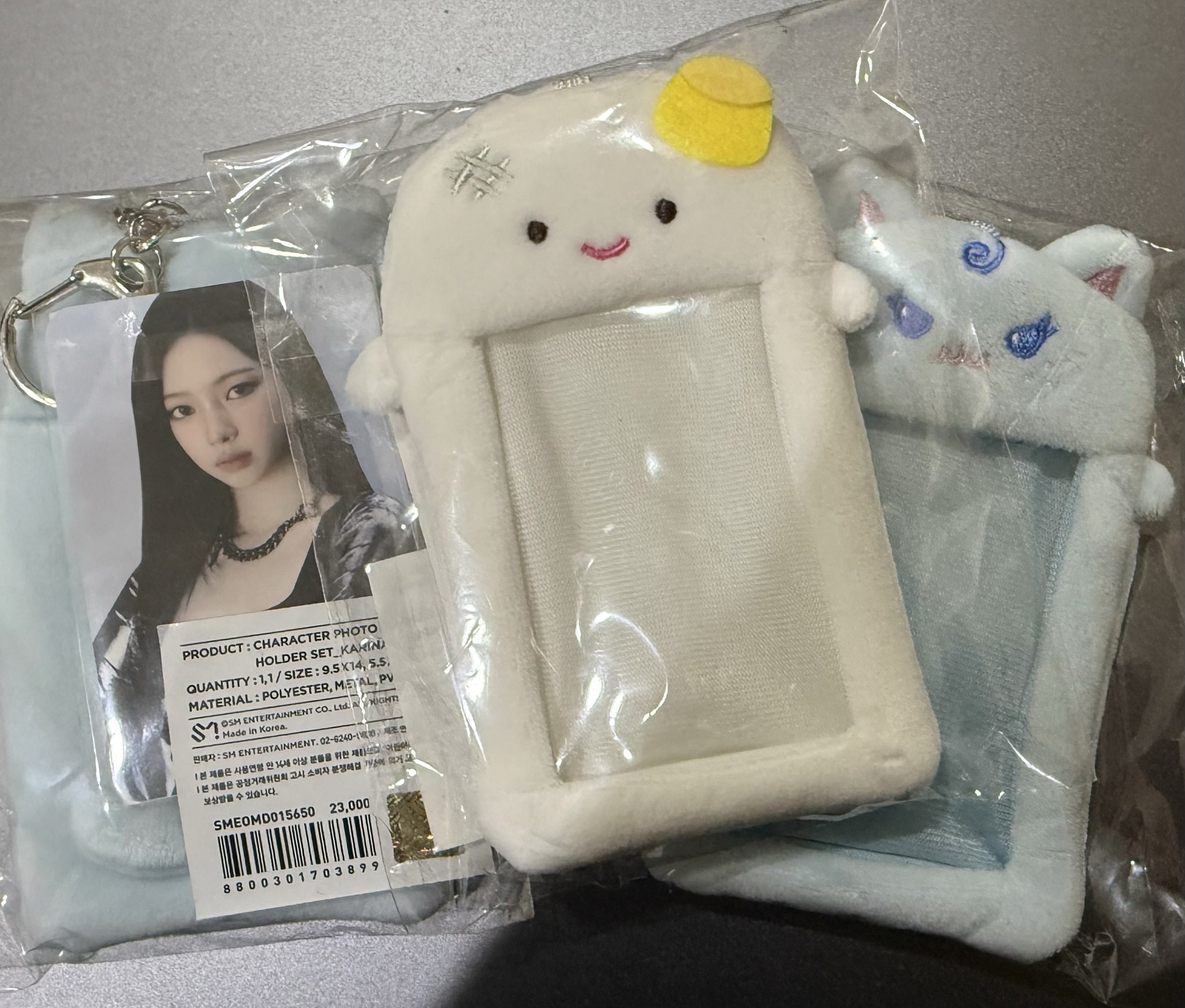 aespa 二巡安可karina卡套含小卡 全新現貨