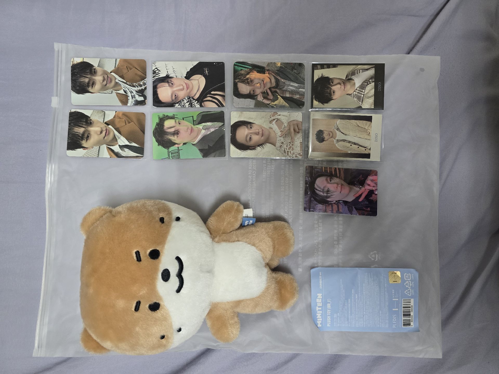 Miniteen 李燦Dino 站娃與9張小卡合售