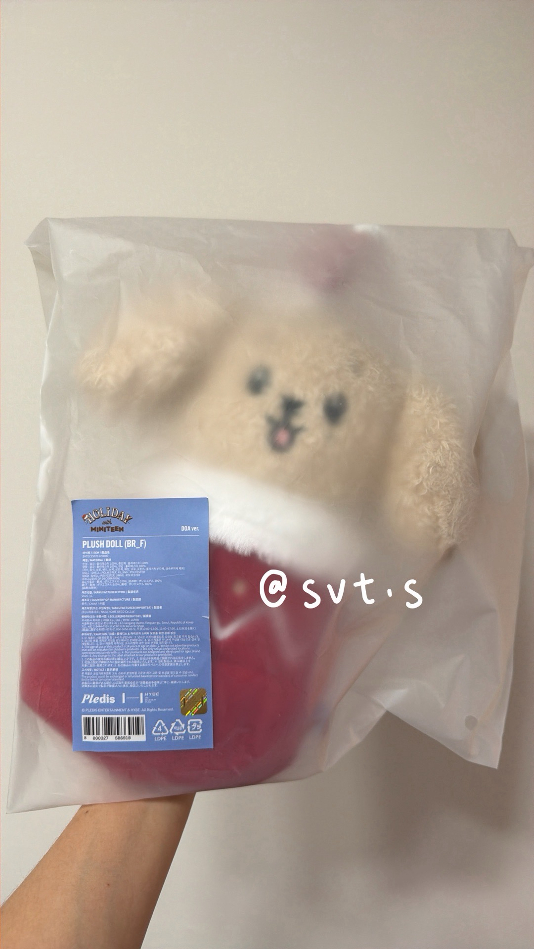 （3/12更）全新現貨 miniteen 聖誕襪娃 站姿娃娃 DOA 李碩珉 WVS購入