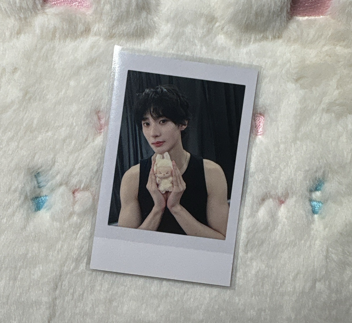 李燦榮 拉布布拍立得（含綁價）