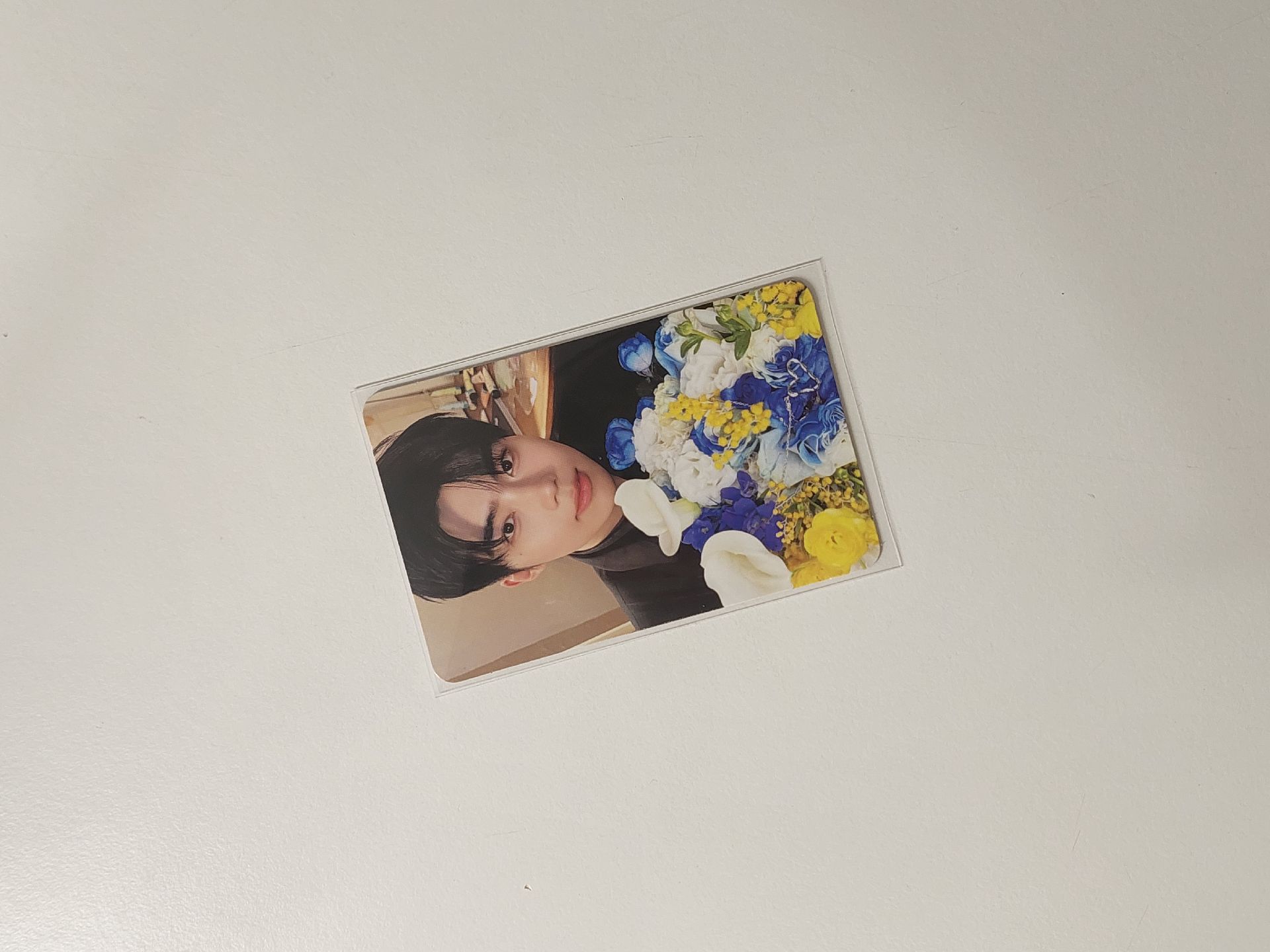 zb1 re-flow 朴乾旭 專卡