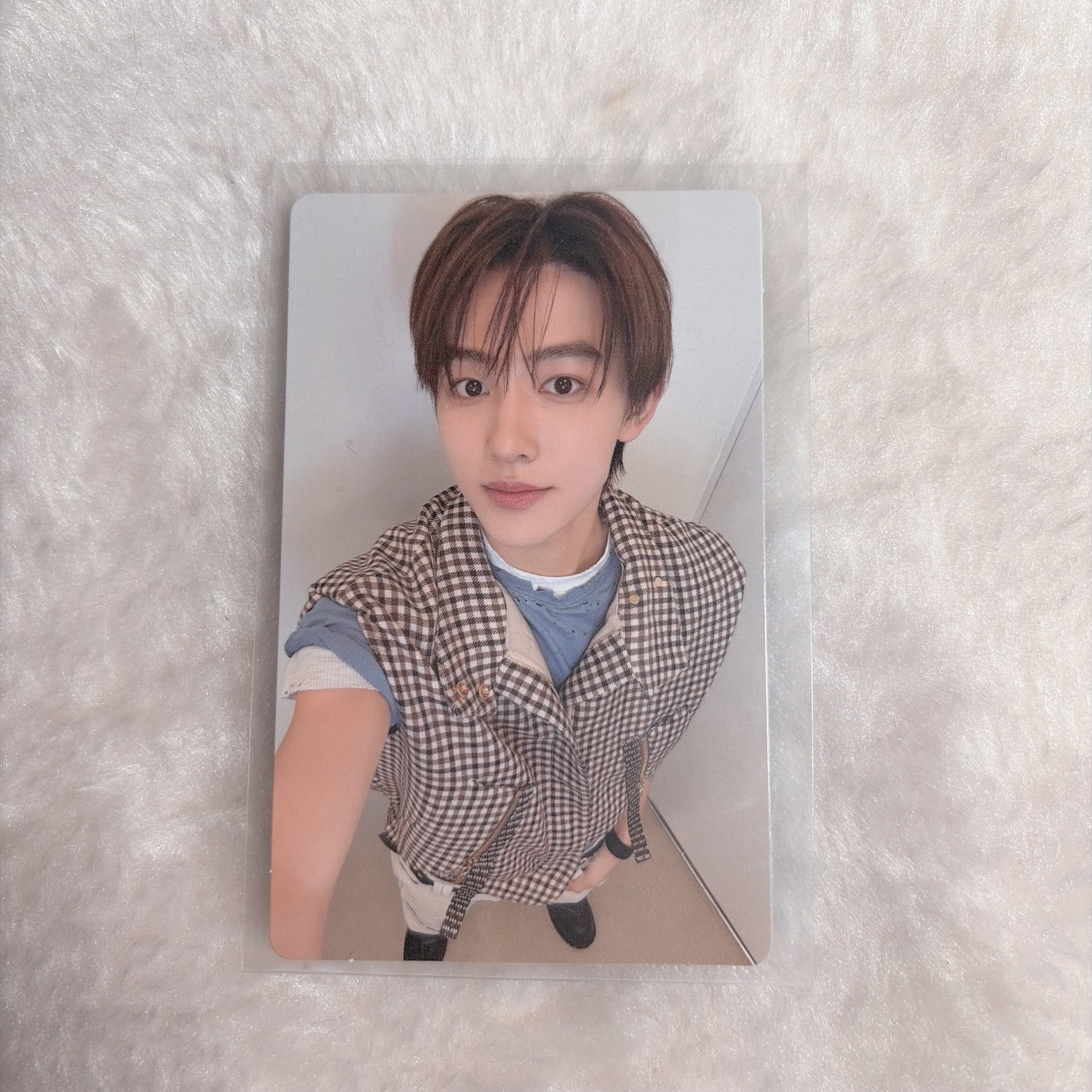 【𝗖𝗼𝗿𝘁𝗶𝘀】AAA特典