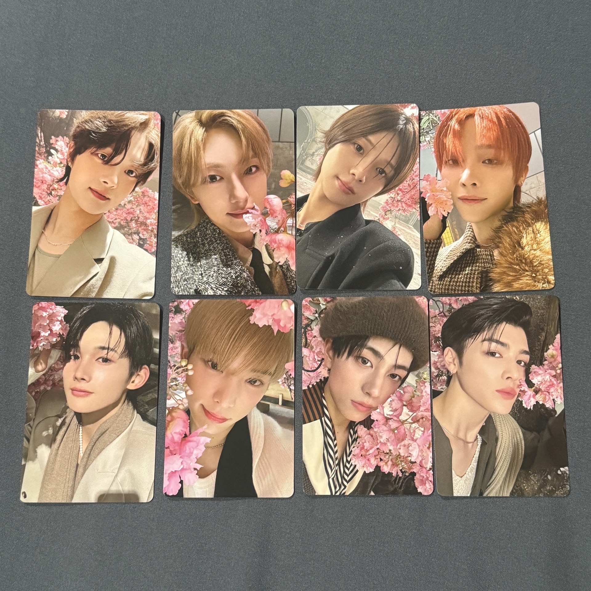 雪明通常盤專卡 櫻花🌸