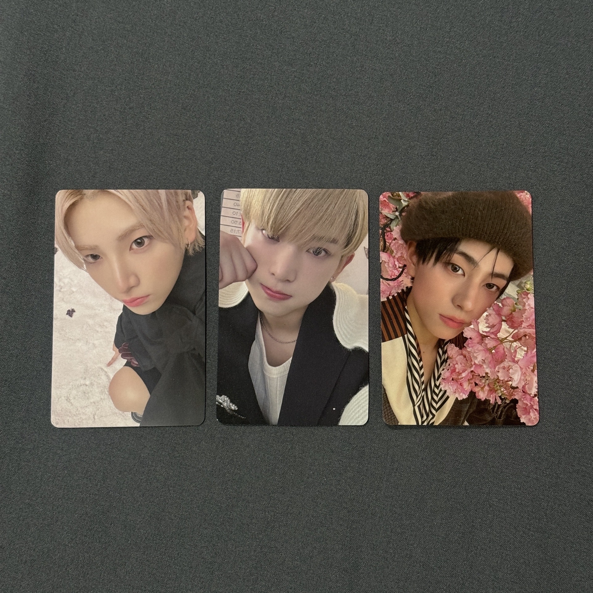 雪明可愛動物區