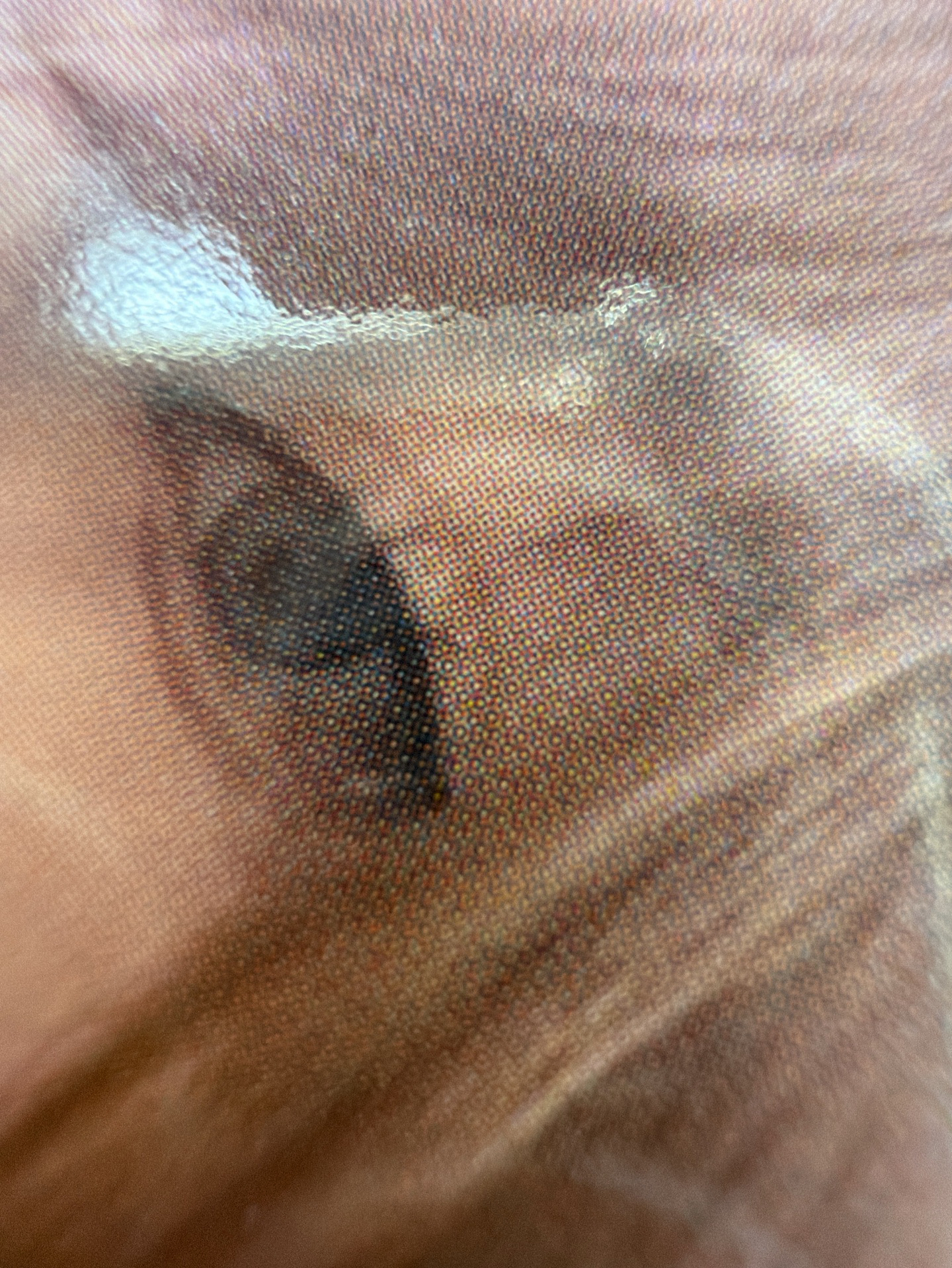 Drama sr 特典卡 星河預售B冬 紅冬