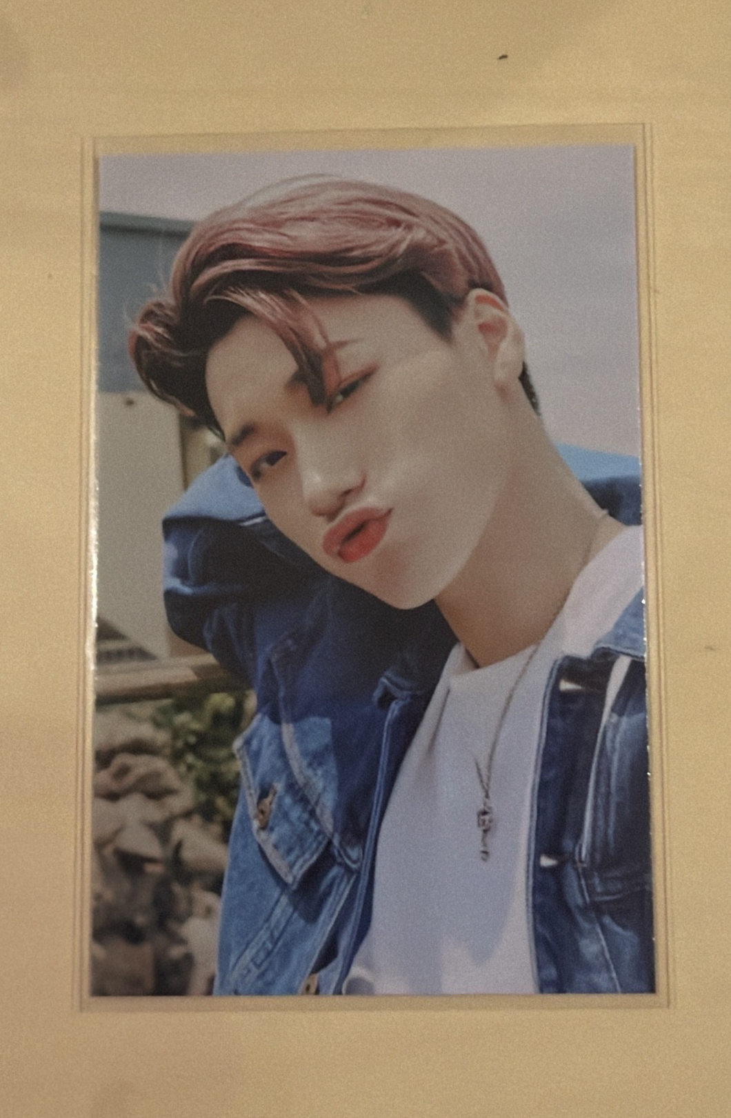 FEVER再版專 專輯卡 